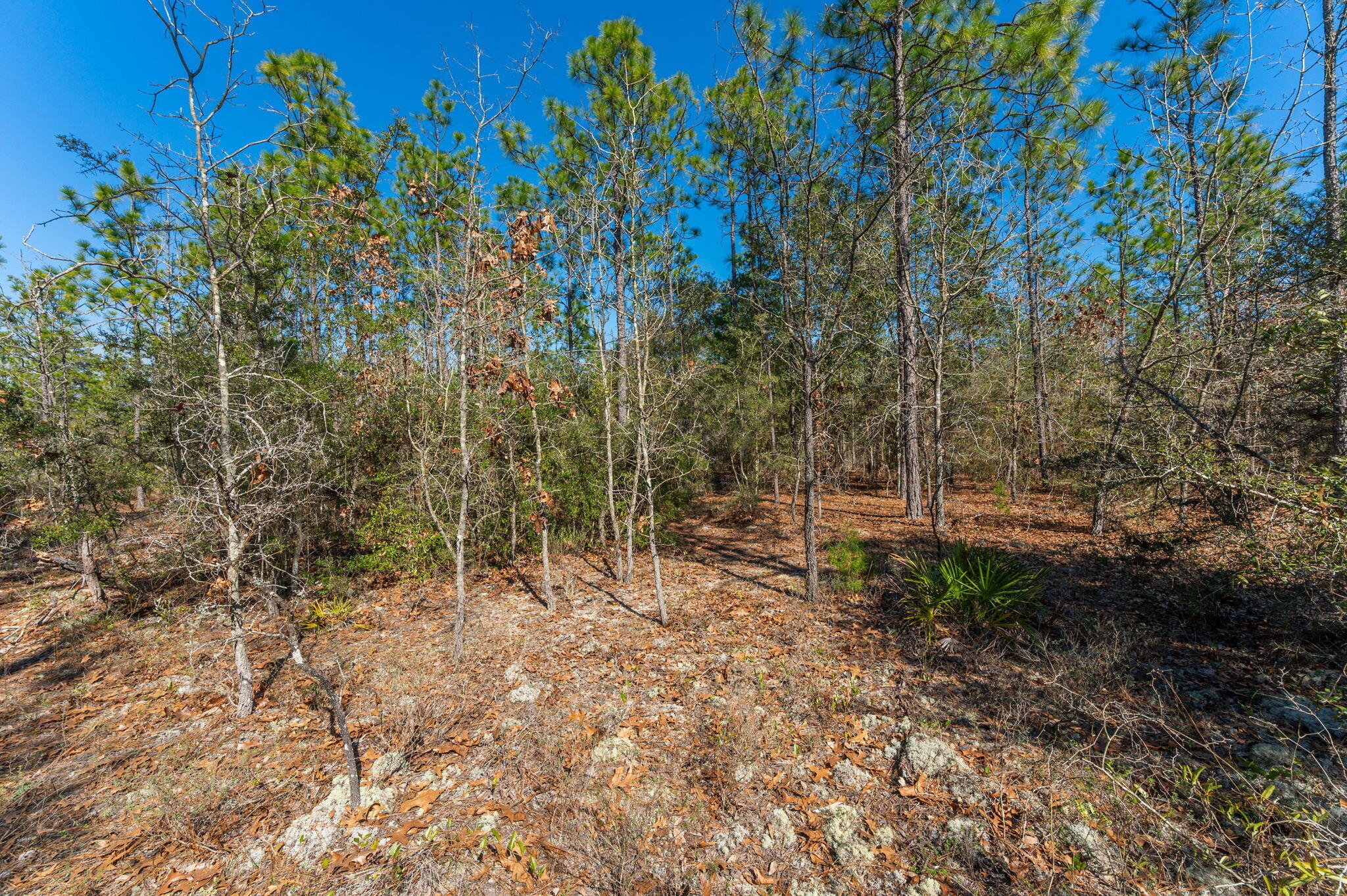 METES & BOUNDS - Land