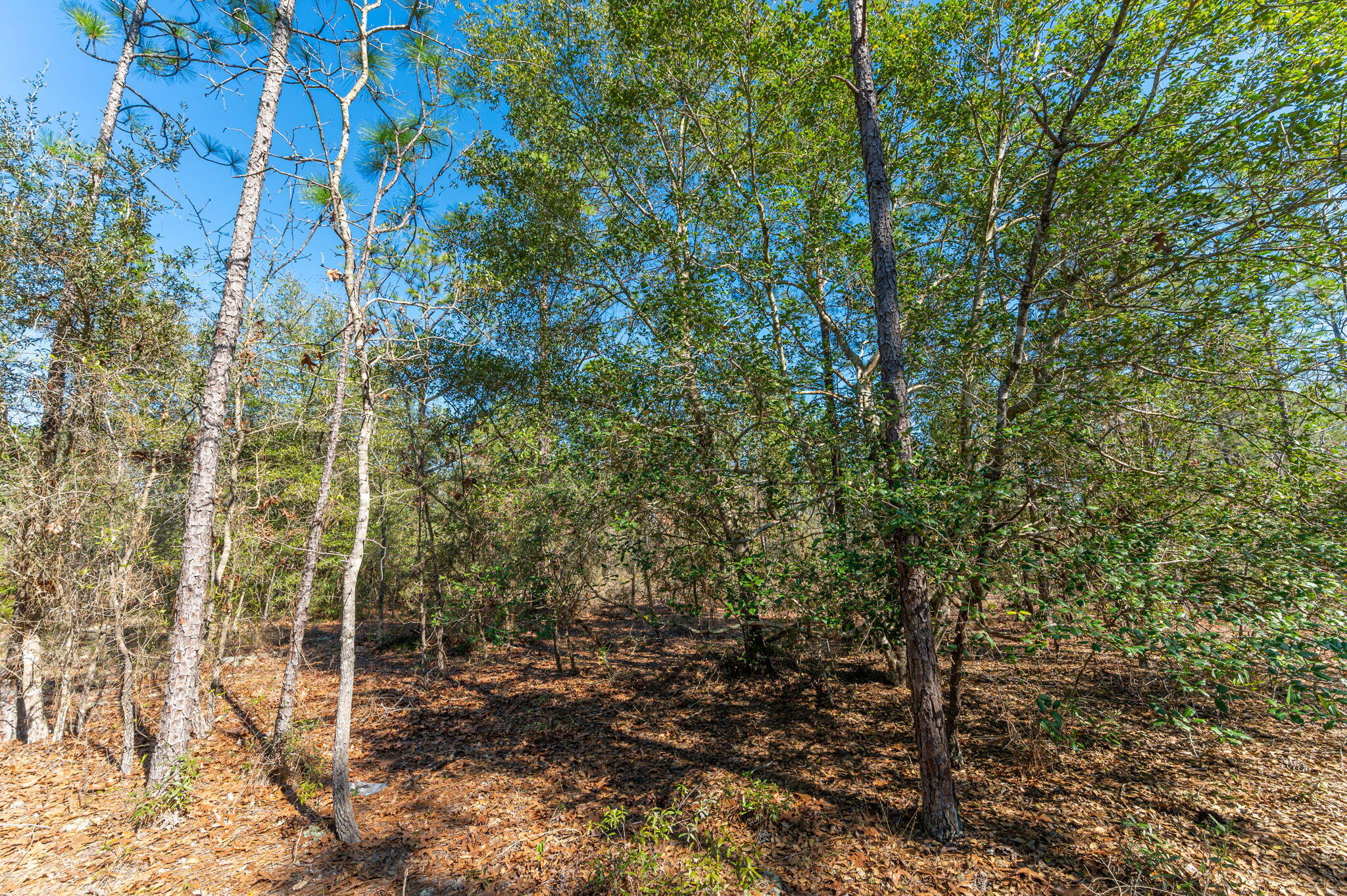 METES & BOUNDS - Land