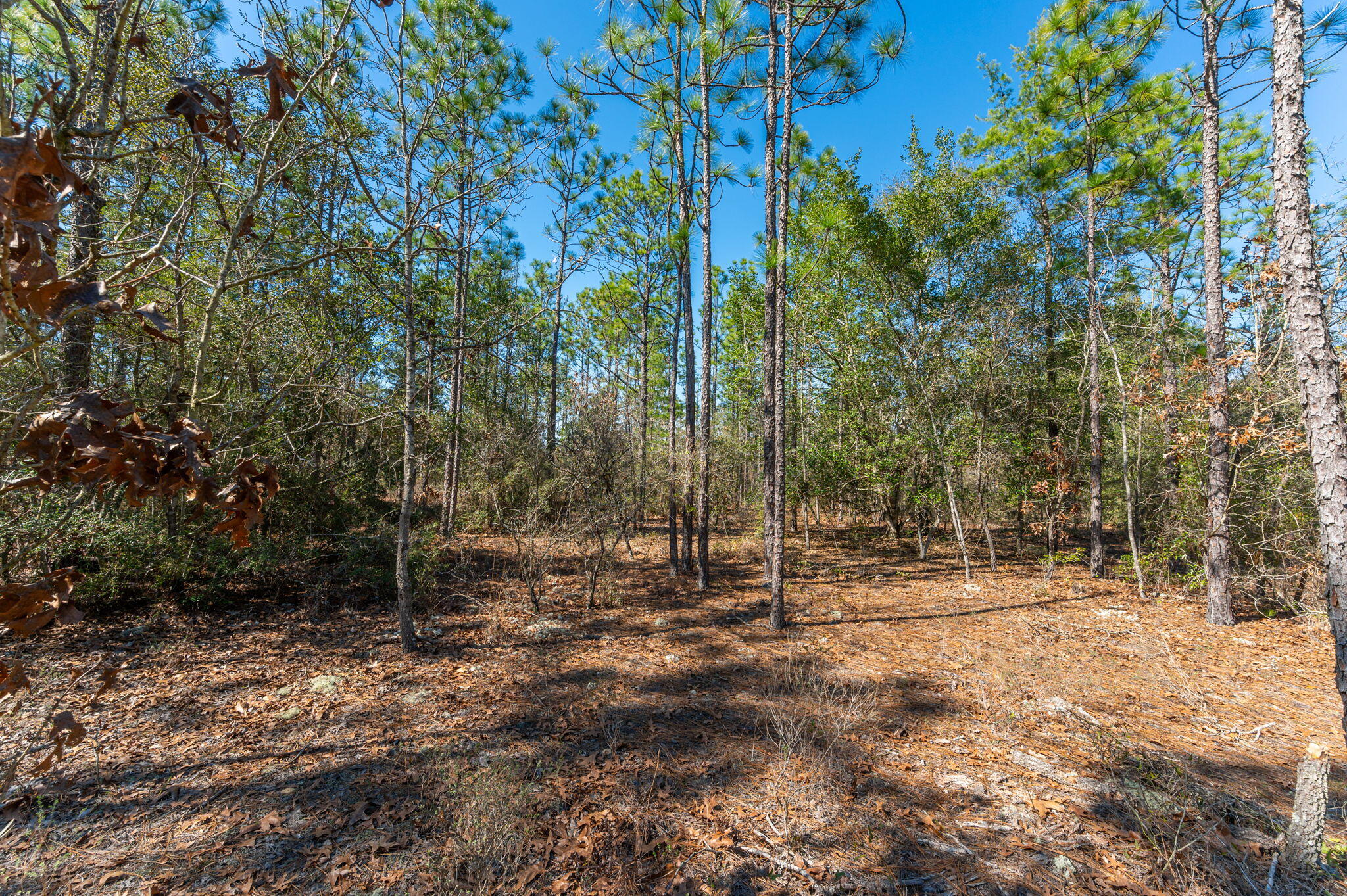 METES & BOUNDS - Land