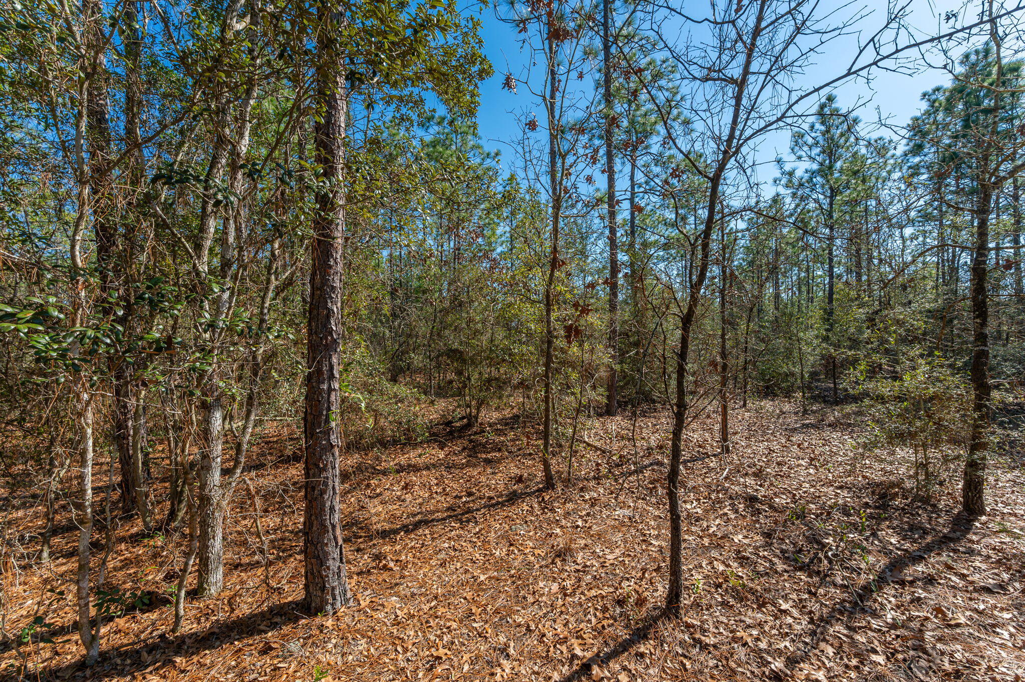 METES & BOUNDS - Land