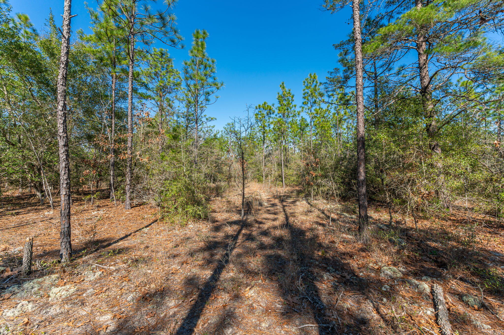 METES & BOUNDS - Land