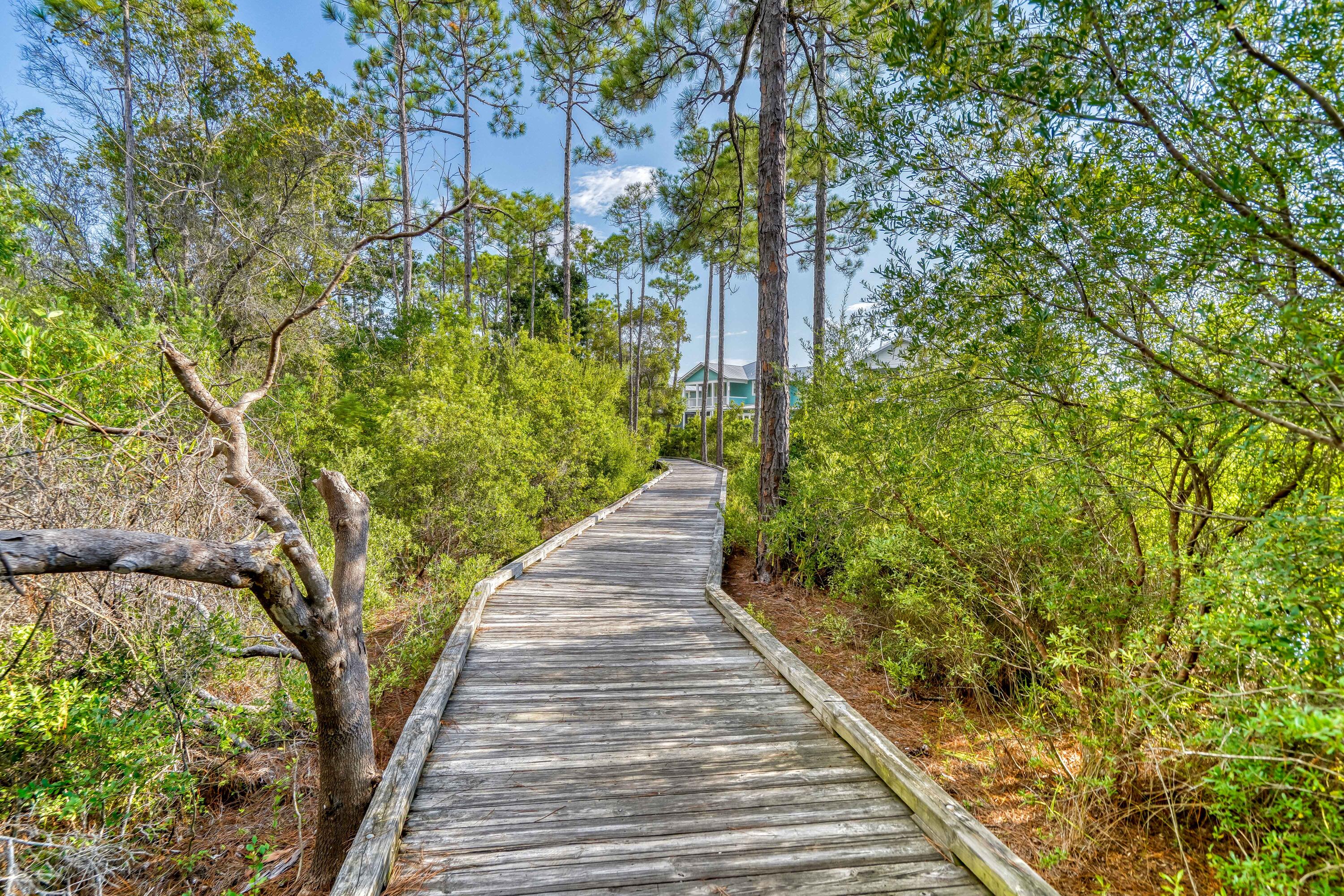 Naturewalk At Seagrove Fourth - Residential