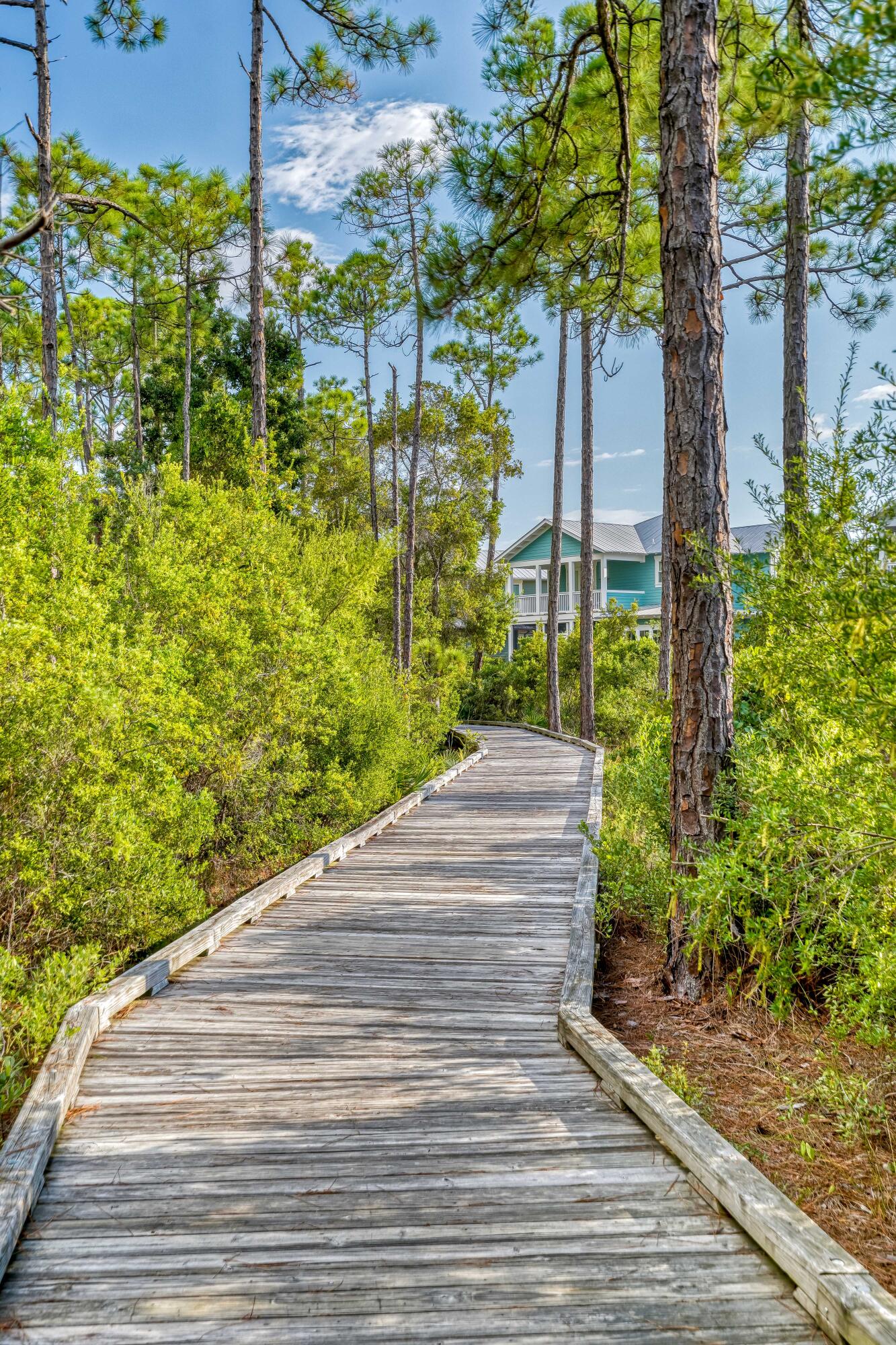 Naturewalk At Seagrove Fourth - Residential