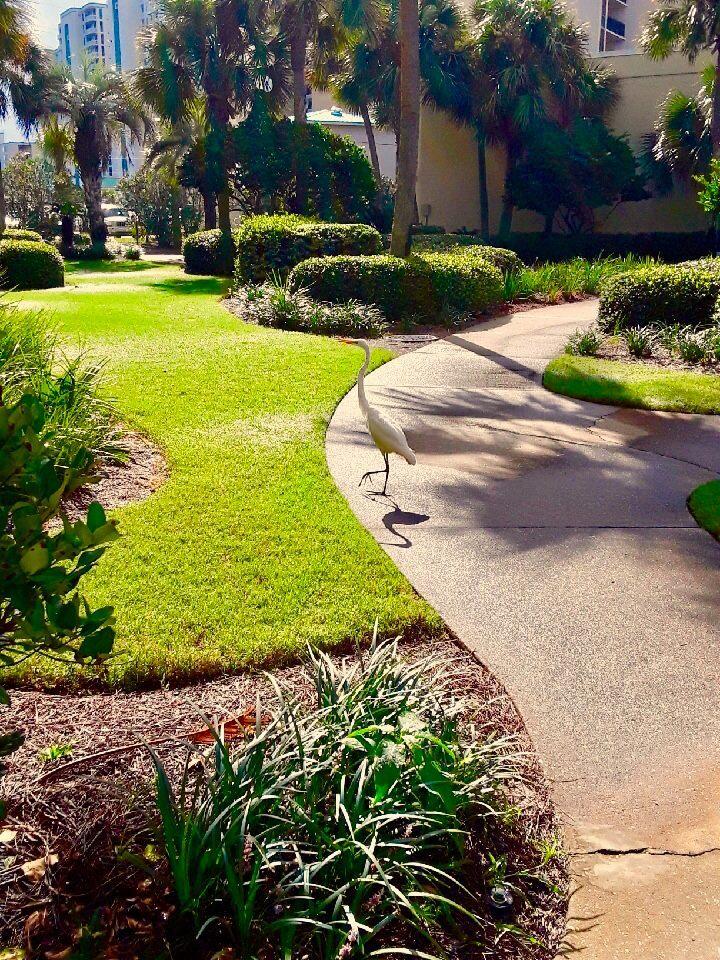 SILVER DUNES CONDO - Residential