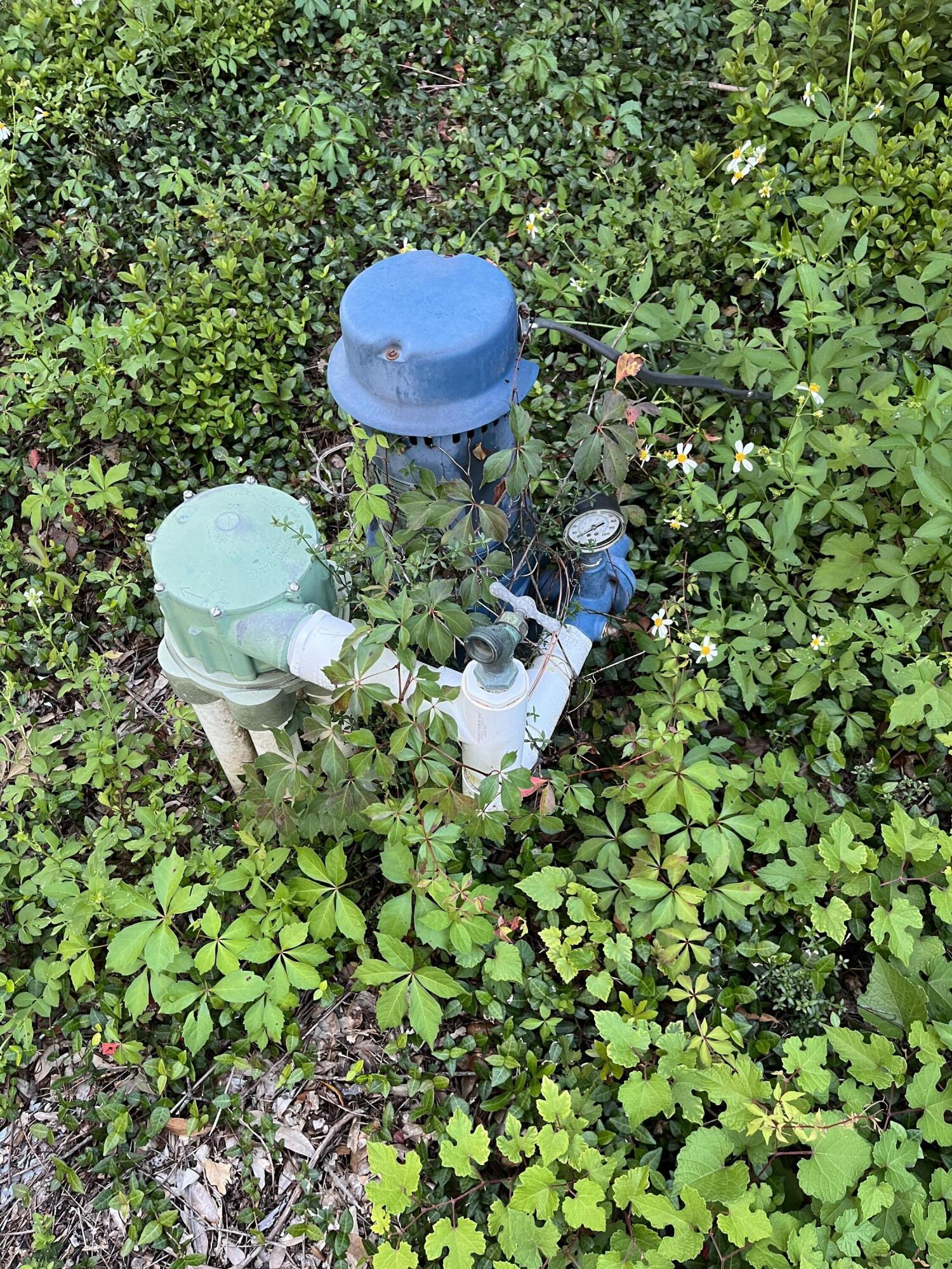 FOREST PARK - Residential