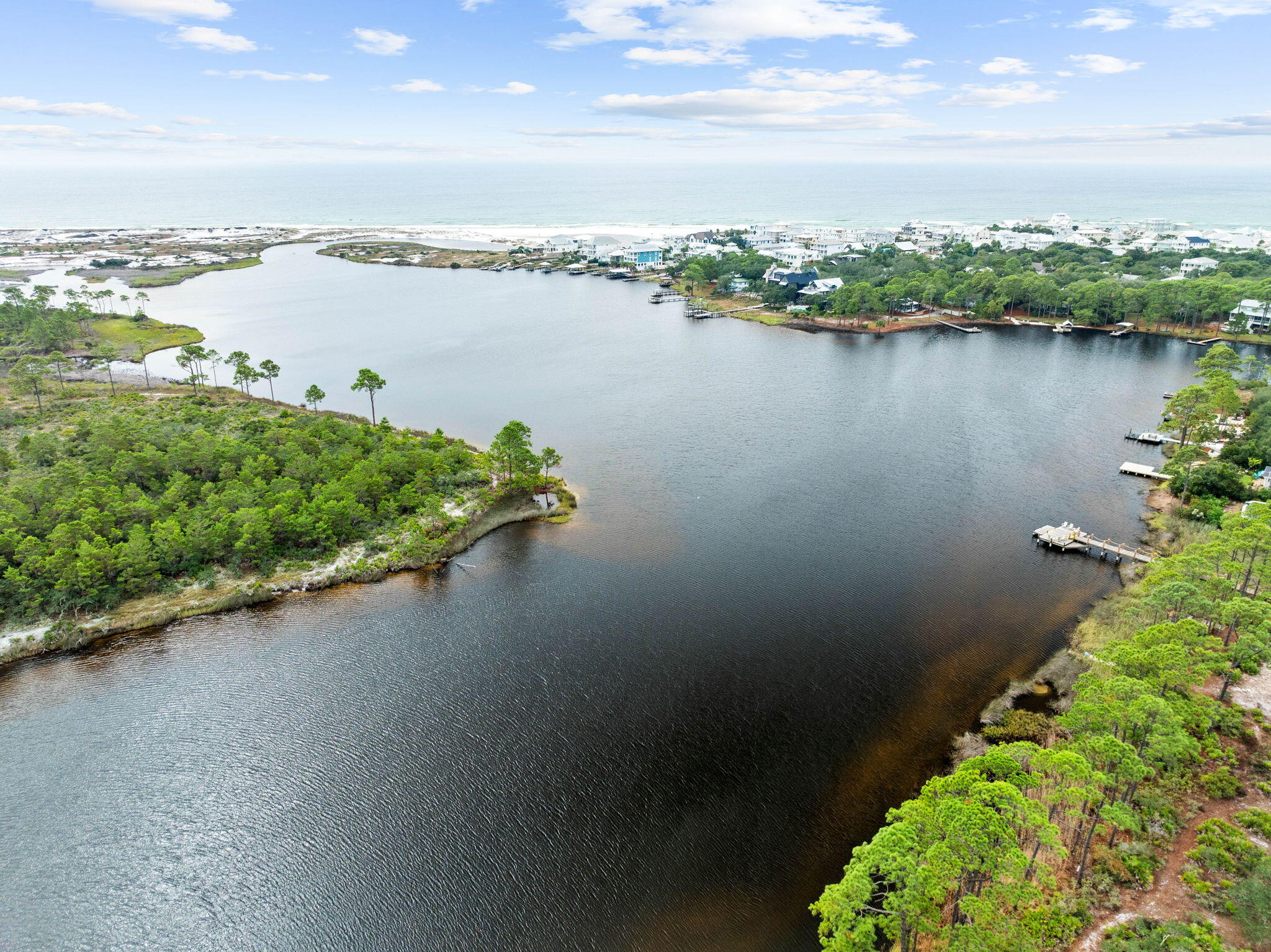 LAKE PLACE AT GRAYTON BEACH T/H - Residential