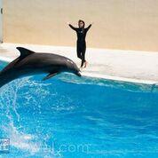 TRANQUILITY BY THE BAY - Residential