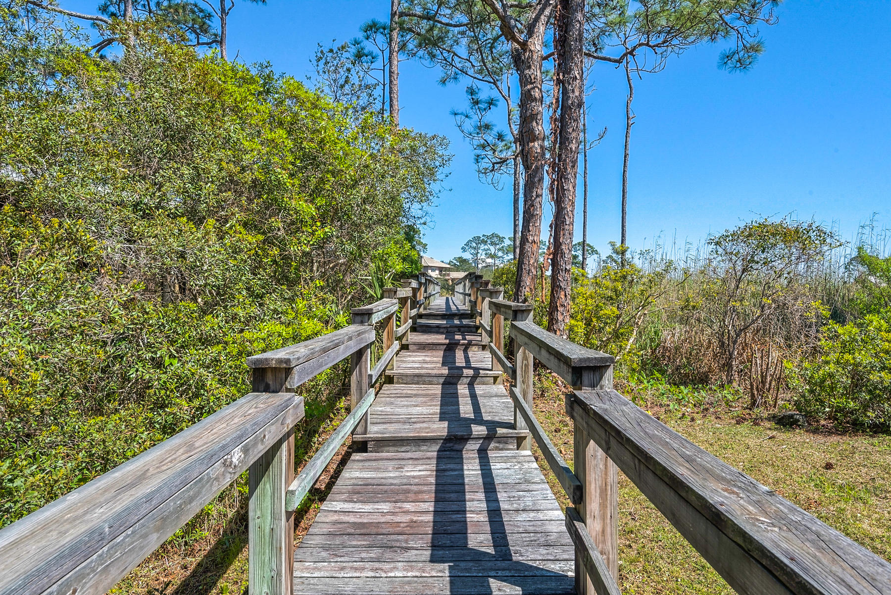 GRAYTON TRAIL - Residential