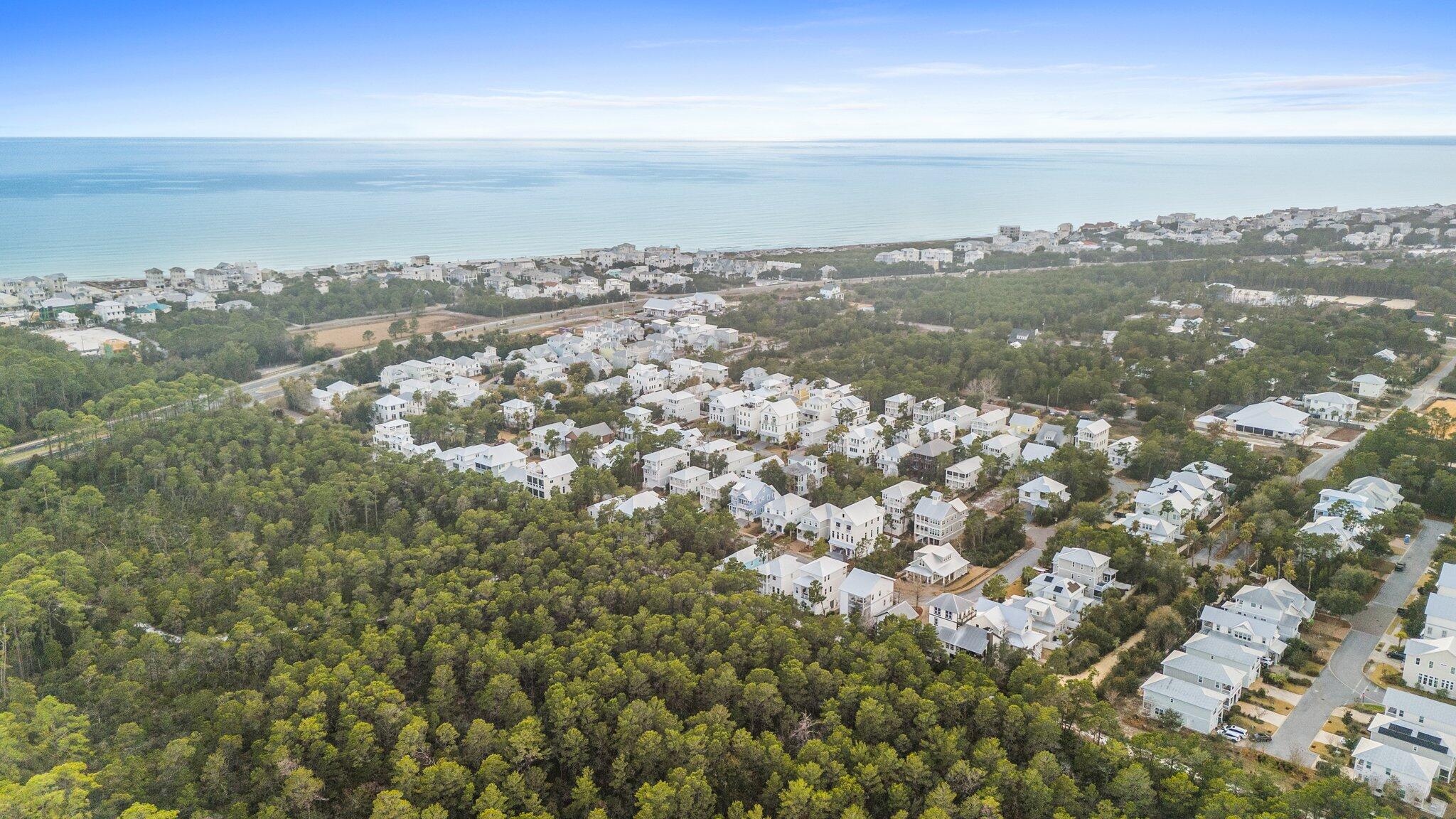 GRANDE POINTE AT INLET BEACH - Residential