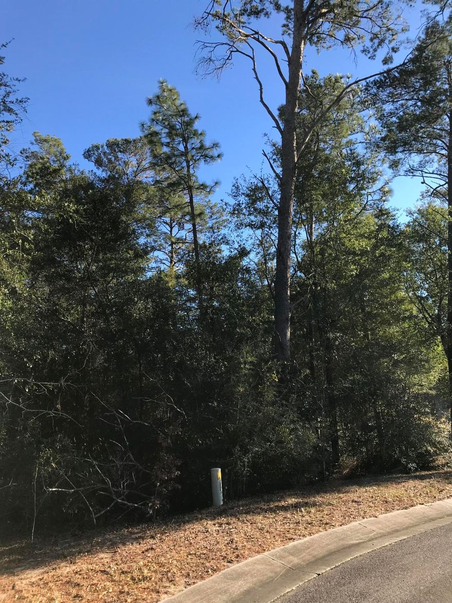 Gorgeous, mature lot in a quiet culdesac of Rocky Bayou Country Club Estates. A quick route to Duke Field or Eglin Air Force Base, as well as, around the corner from Walmart, Publix, and many local shops and restaurants. The golf course also remains in full swing for the neighborhood!