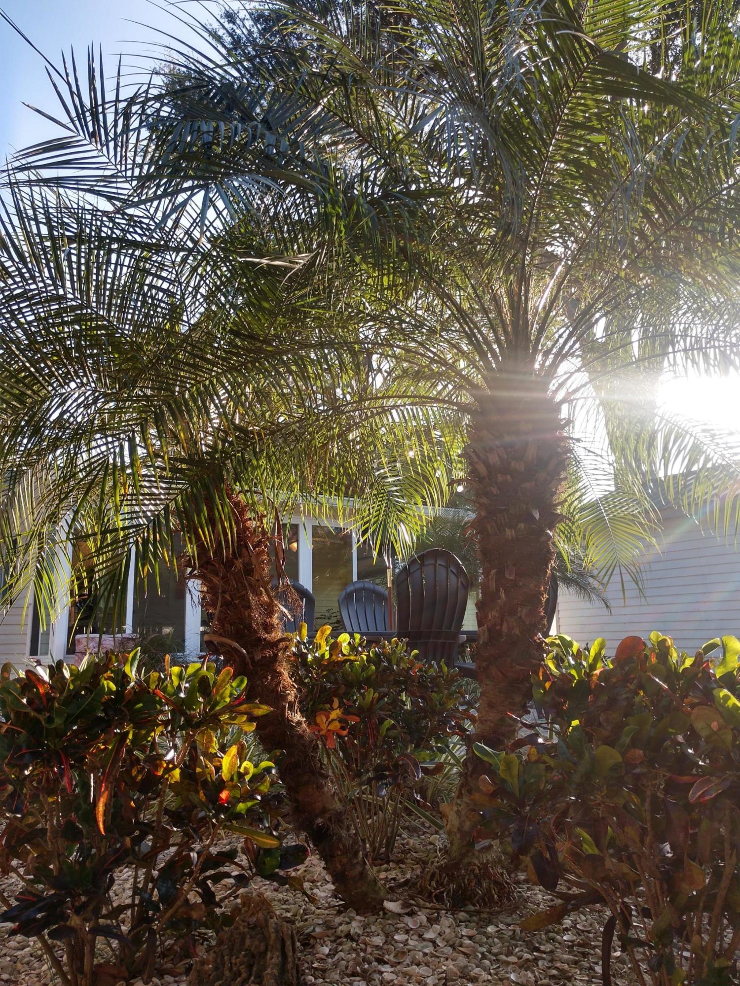 Bellaire Heights in Bartow, FL - Residential