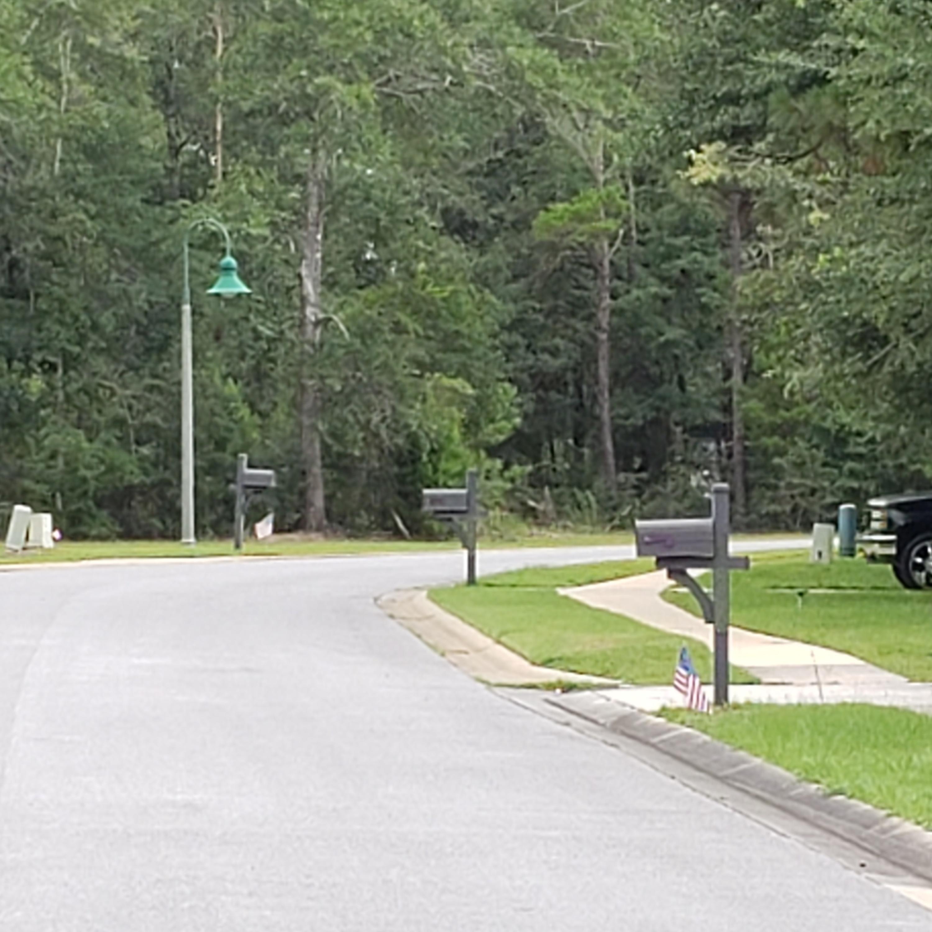 CAMELLIA COVE - Residential