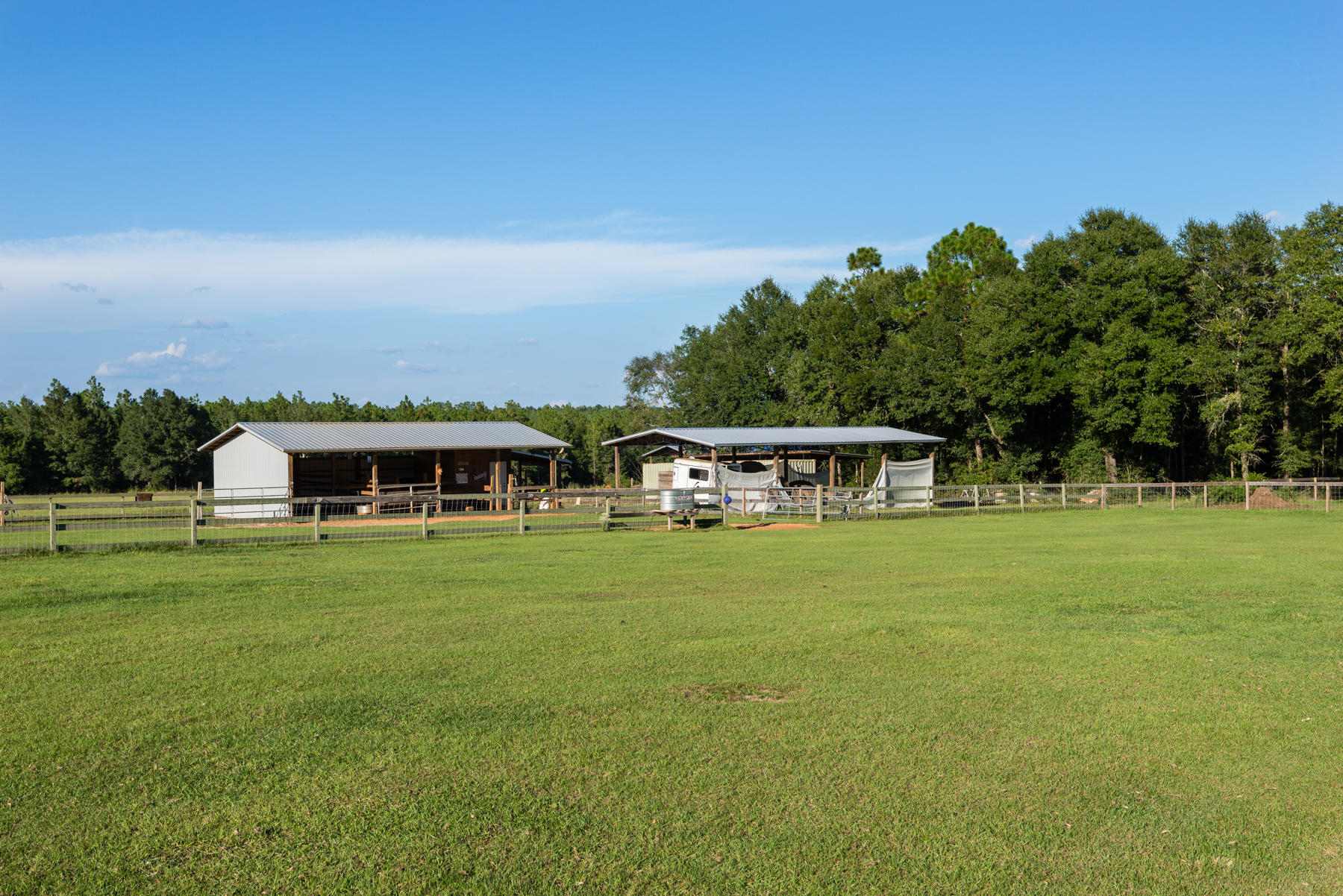 38 Acre Ranch - Farm
