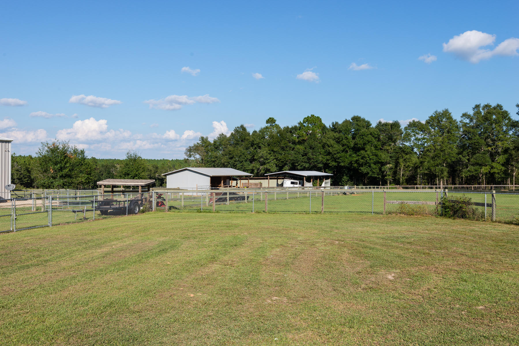 38 Acre Ranch - Farm