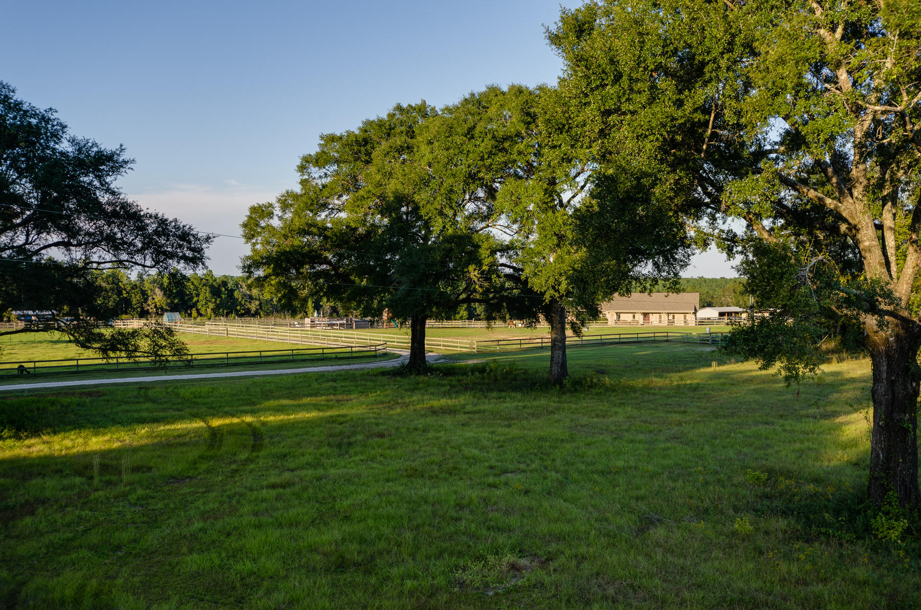 38 Acre Ranch - Farm