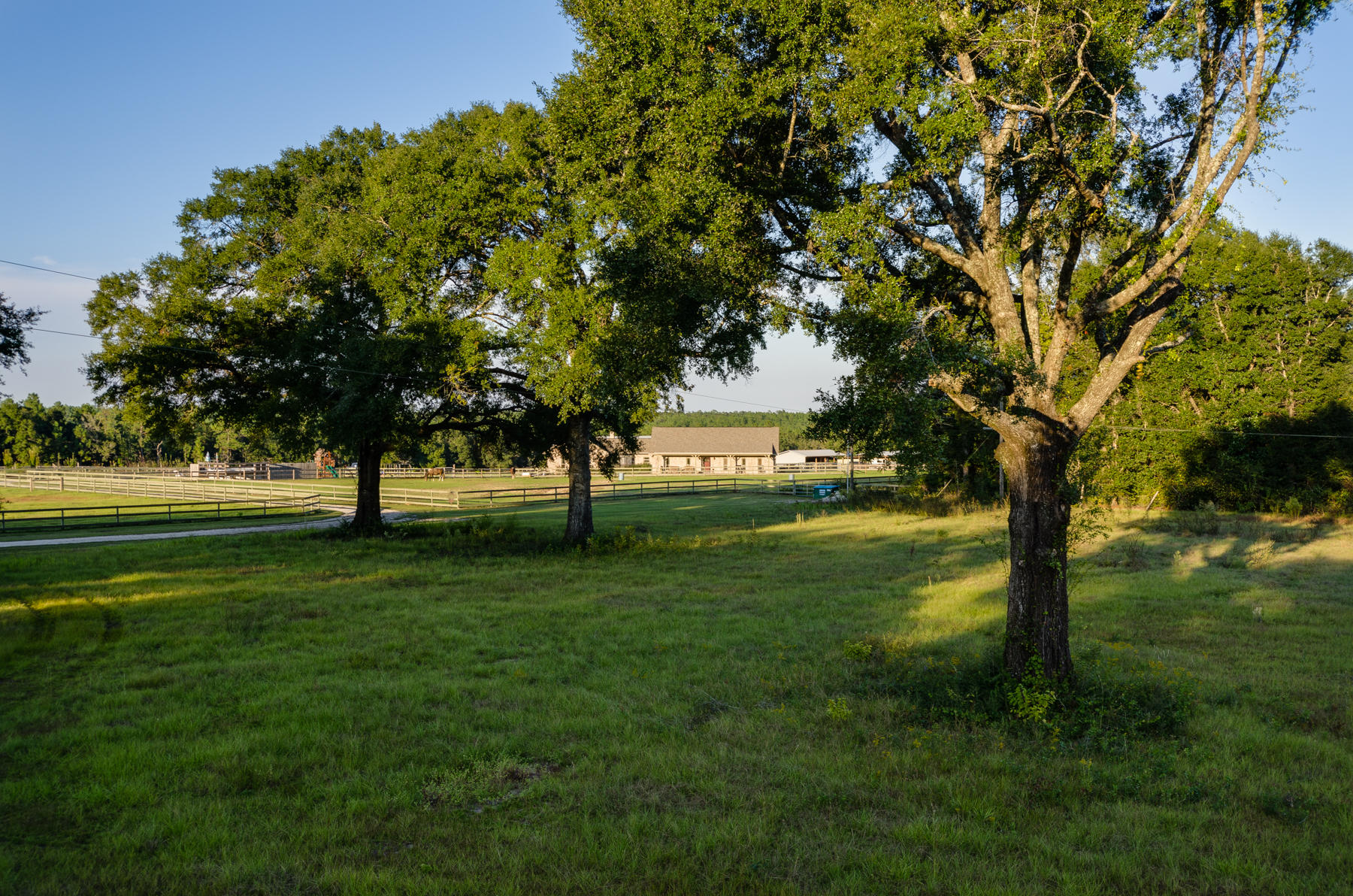 38 Acre Ranch - Farm
