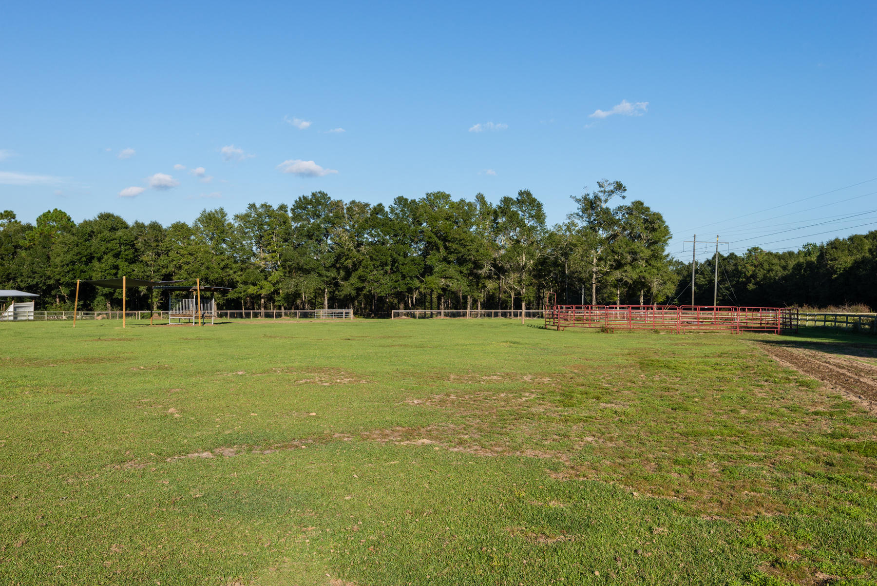 38 Acre Ranch - Farm