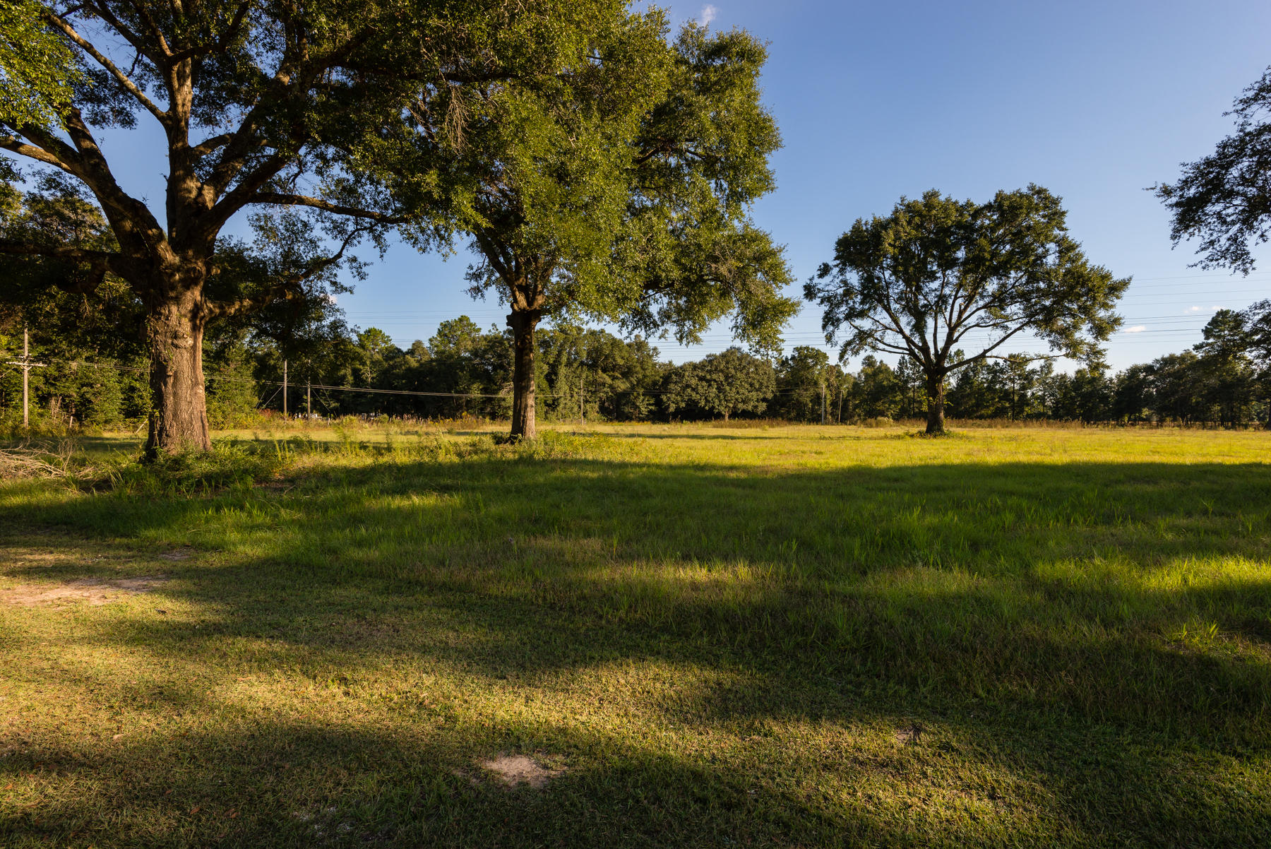 38 Acre Ranch - Farm