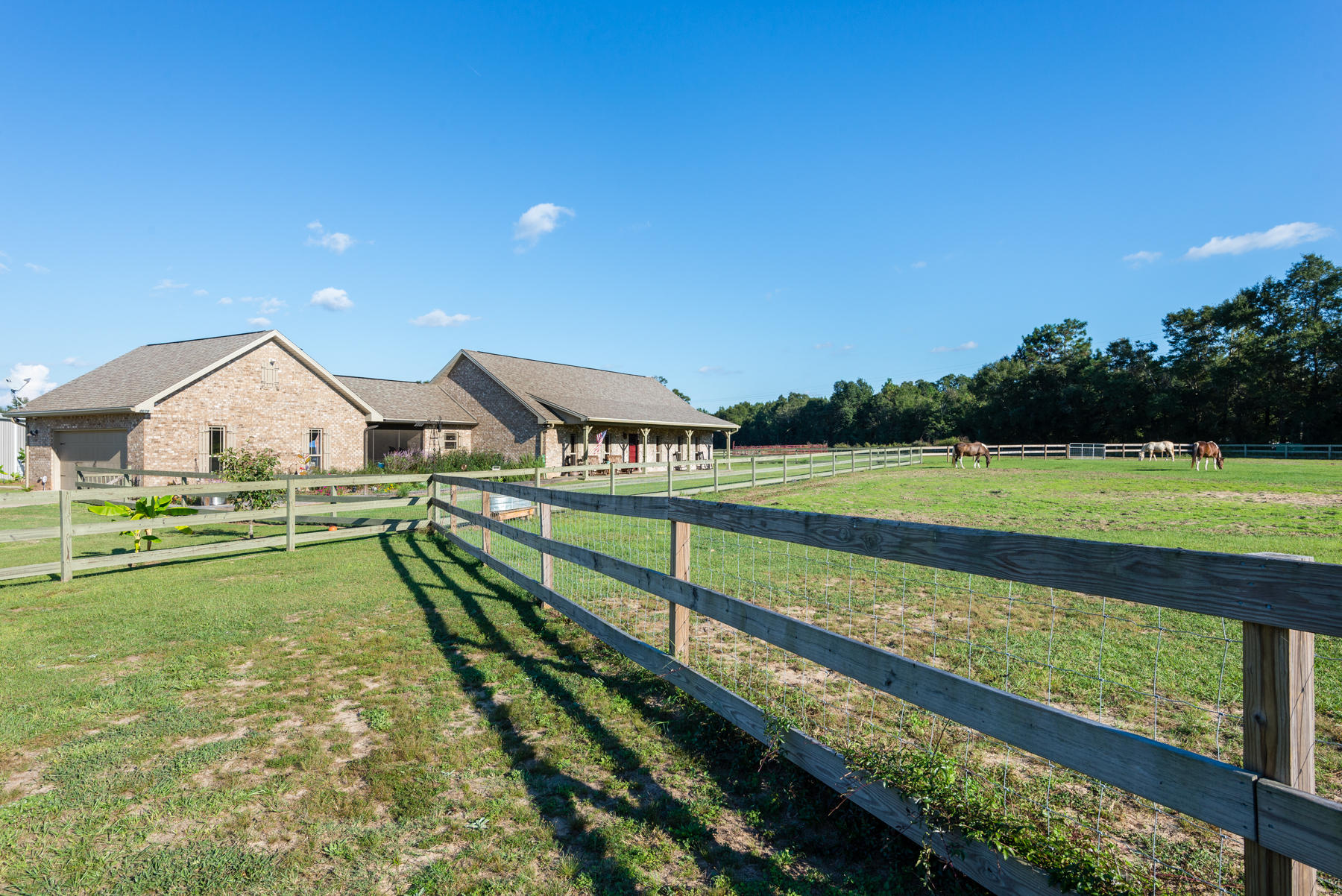 38 Acre Ranch - Farm