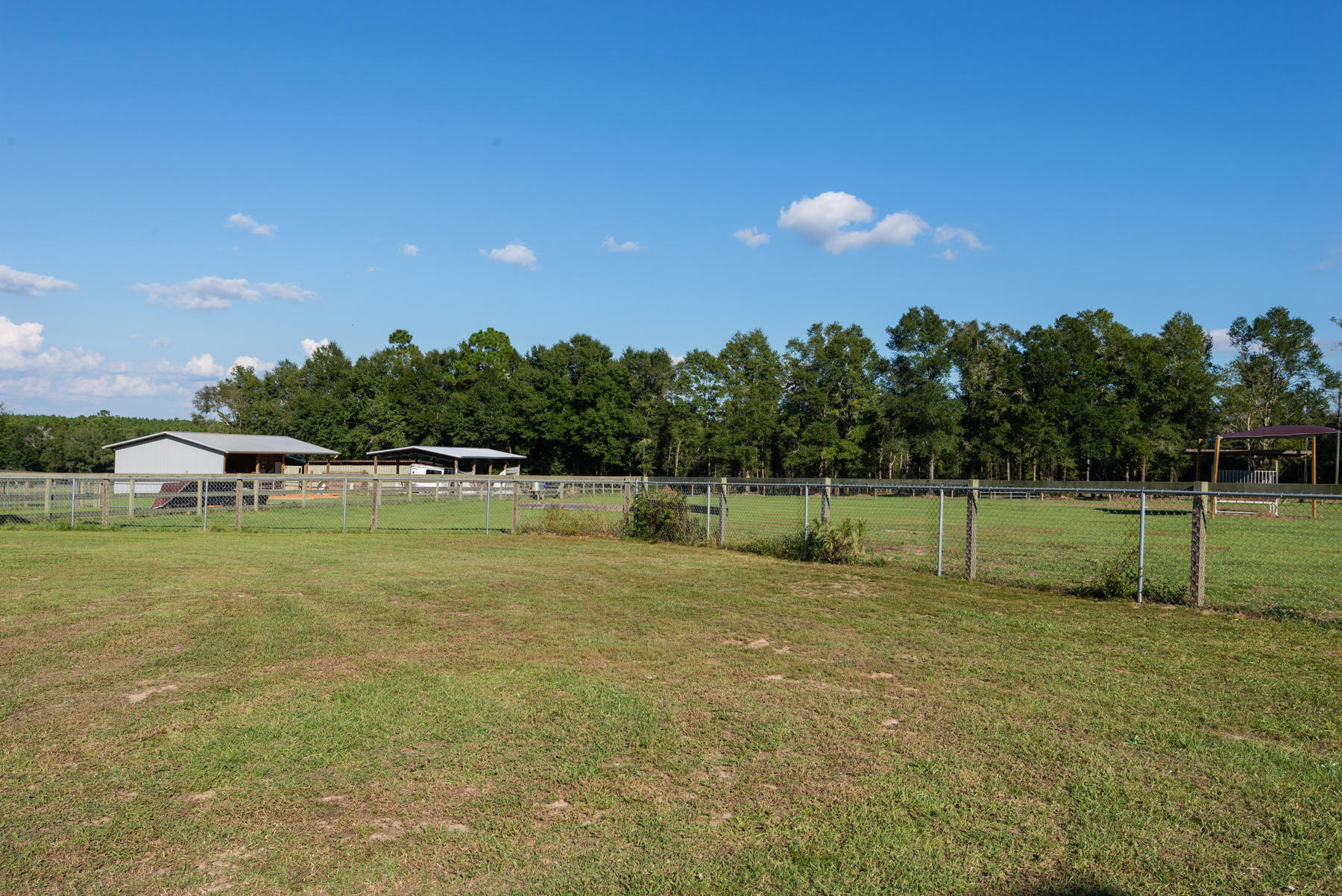 38 Acre Ranch - Farm