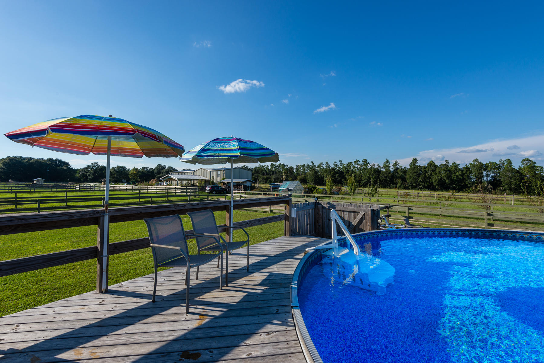 38 Acre Ranch - Farm