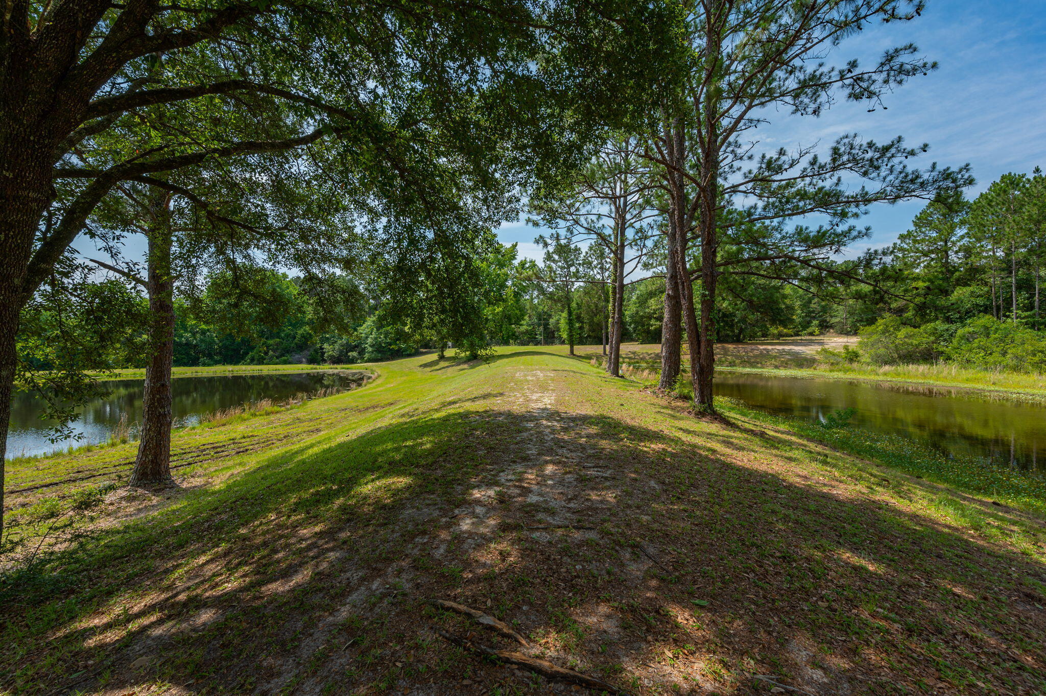 CRESTVIEW SUBURB - Farm