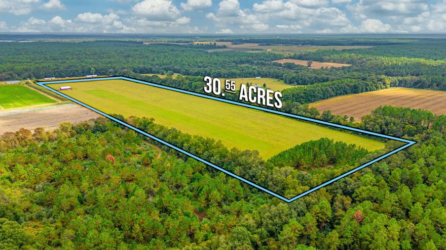 Beautiful hay field located in the heart of Baker! Over 30 acres of countryside complete with a red metal barn (on a concrete slab) - would make a stunning homesite, so bring your house plans and watch your visions come to life. Income producing potential with the hay from the fields! An all around great property! Make an appointment today to view!