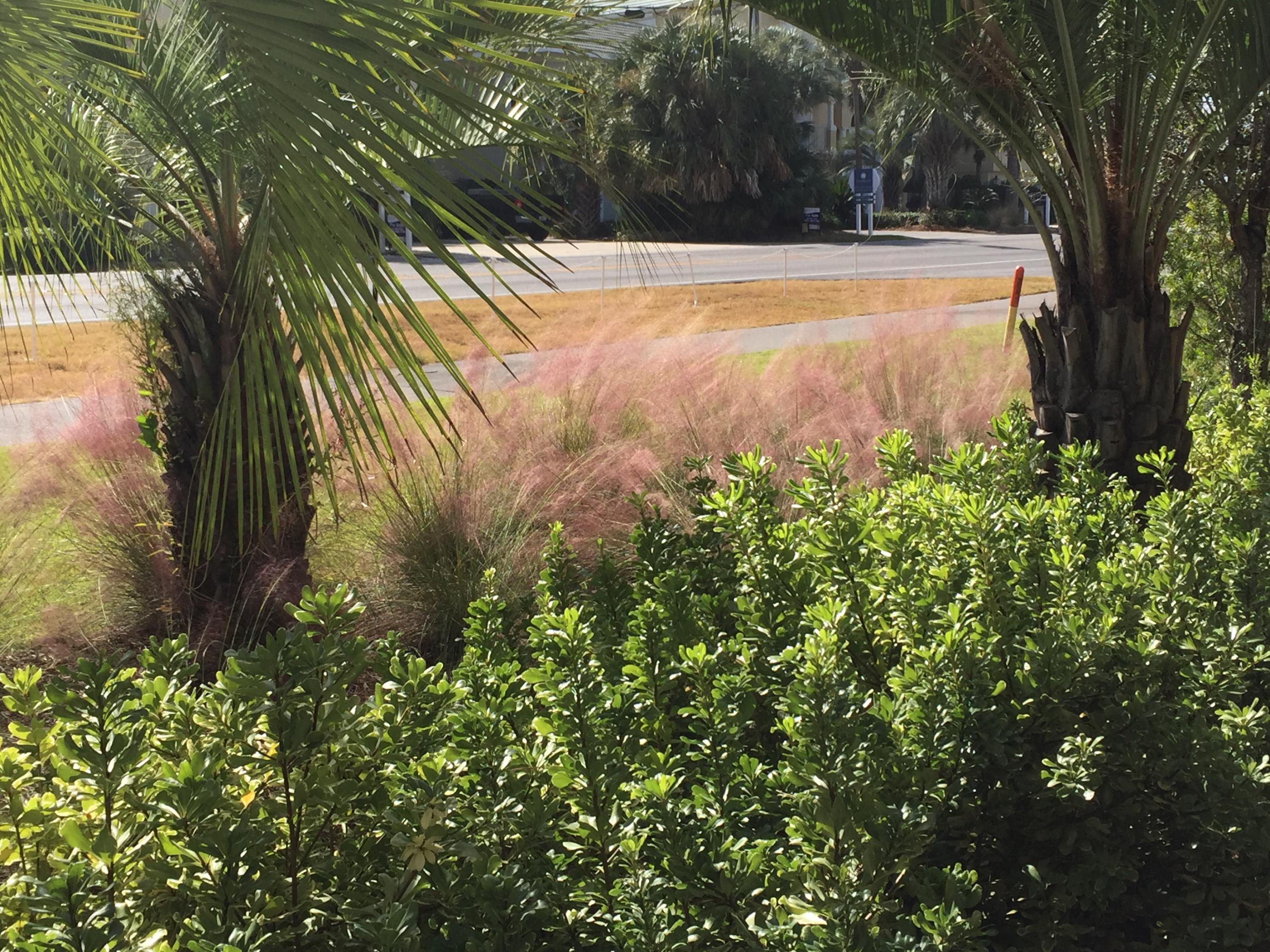 Alerio - Residential