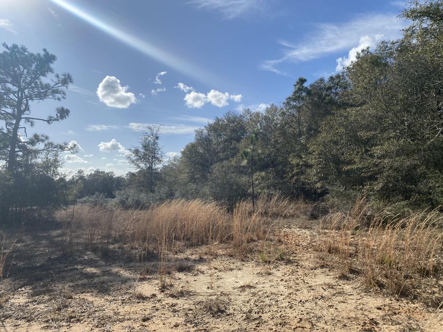 47+/-Acres undeveloped!! Bring your development plans or your estate home and your barn! Grocery, new restaurants under construction! Paved road frontage, water and utilities available! For subject location please refer to the document section.