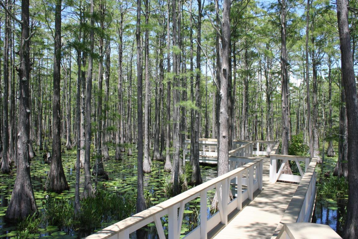 CYPRESS DUNES - Land