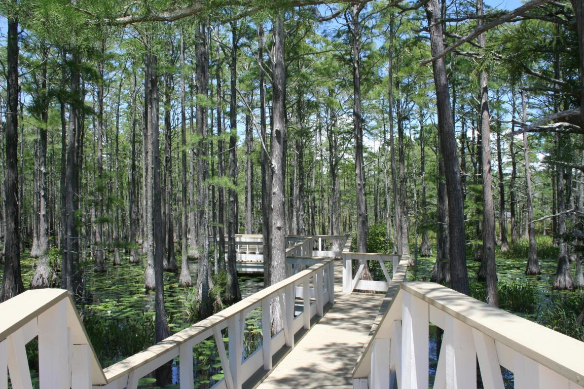 CYPRESS DUNES - Land