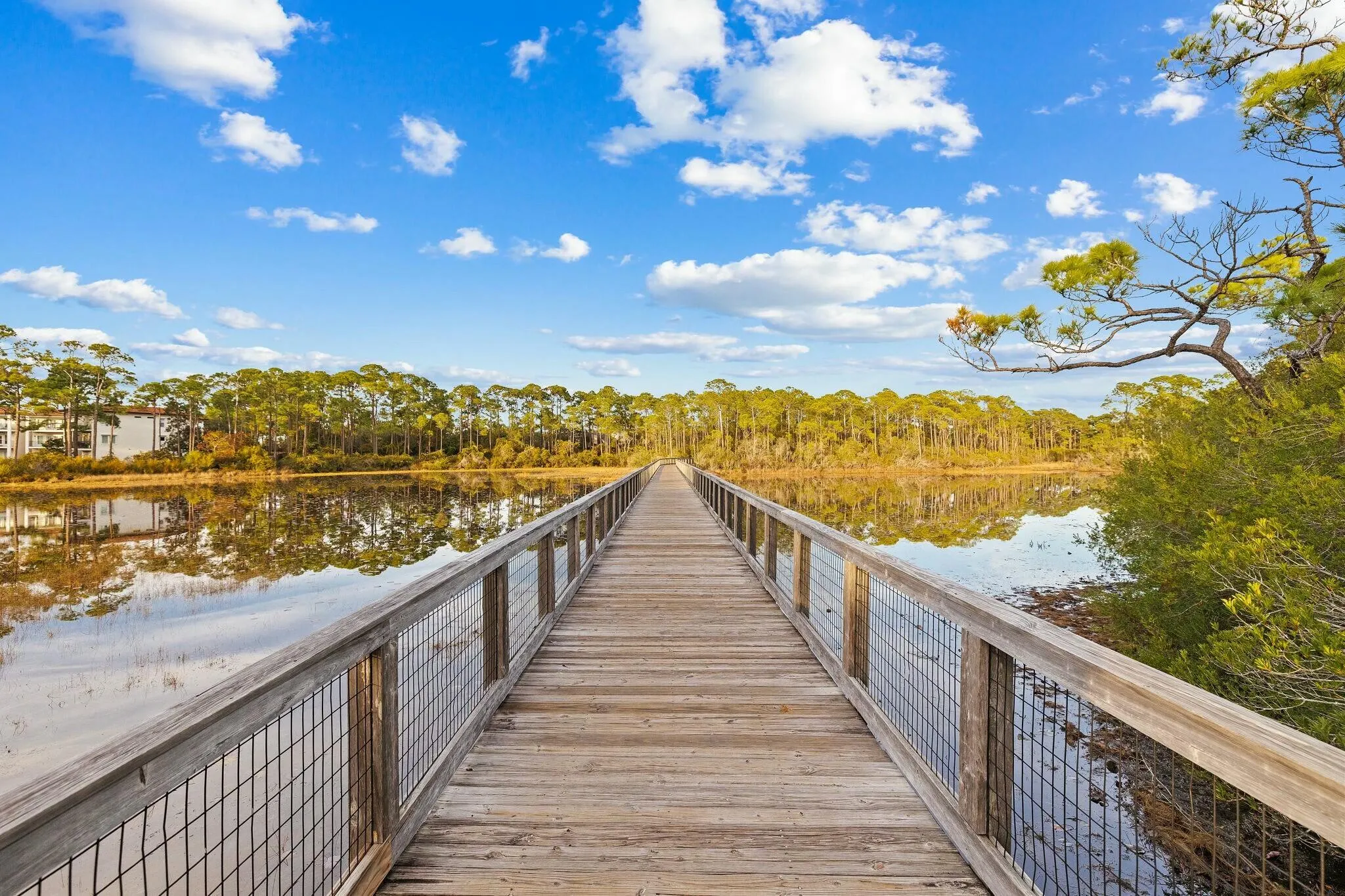 Santa Rosa Beach, Florida 32459, United States, 3 Bedrooms Bedrooms, ,4 BathroomsBathrooms,Residential,Active,111779