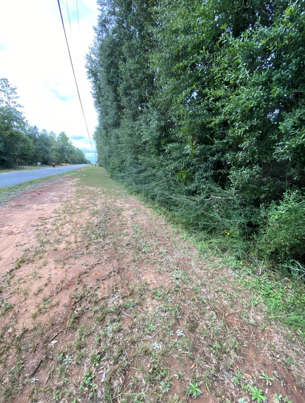 Looking for a serene location to build your wonderful home! You found it! 2.45 Acres to bring the vision for your well deserved reality. Ample amount of space to add a pool with a pool house, workshop, etc. Short commute to military bases, water ways, shopping, schools and recreational activities.