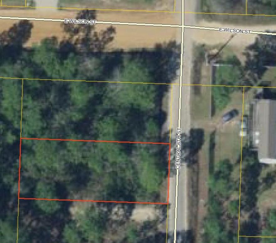 Great opportunity in Santa Rosa Beach. This property is near Cessna Landing Park & Boat Ramp, Hogtown Bayou, schools, Shopping and the world famous ''Beaches of South Walton''. Public water is at the corner of Willson and 6th st which is 50ft from this property, Tap fees have not been paid.