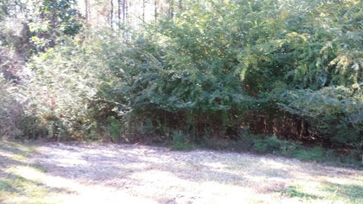 Laurel Hill - Residential