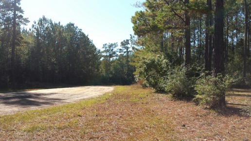 Laurel Hill - Residential