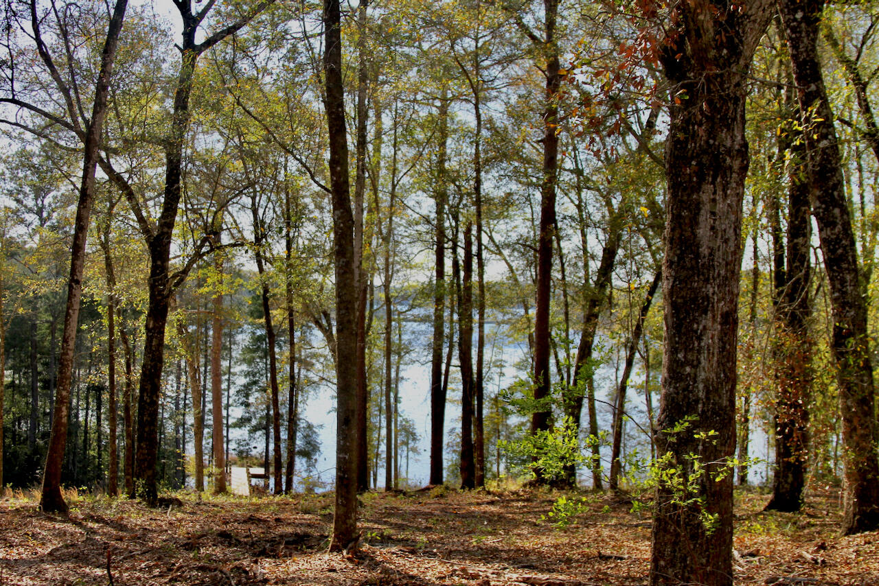 Seacoast Estates - Residential