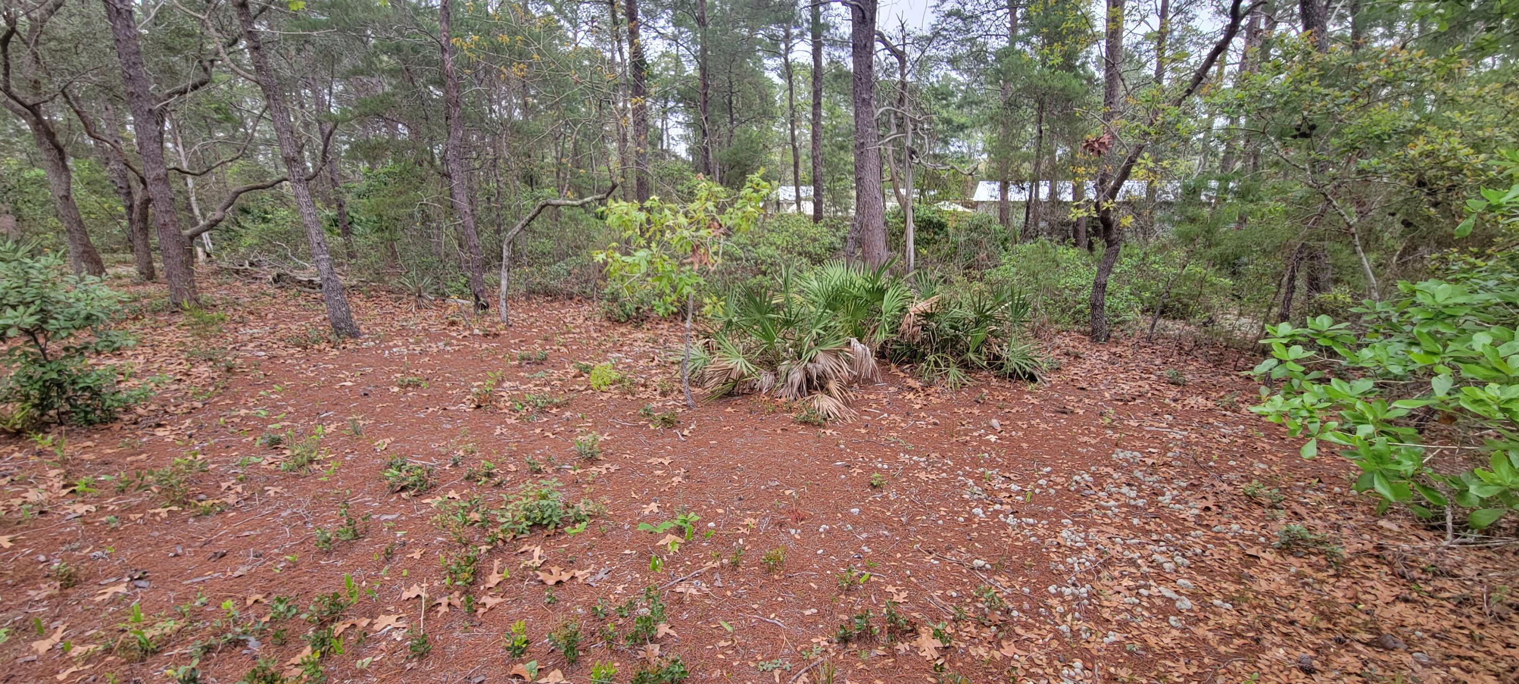 UNRECORDED SUBDIVISION - Land