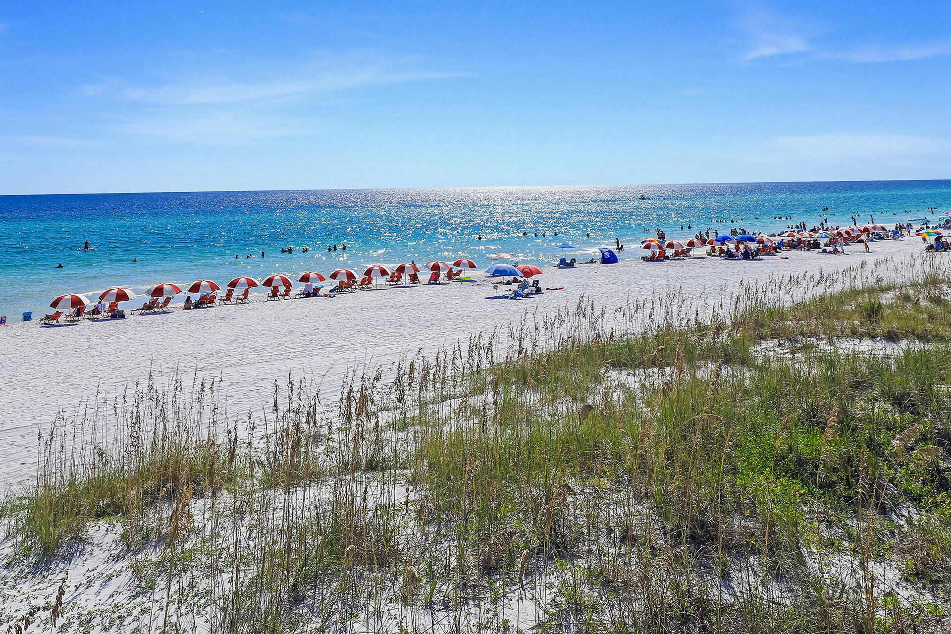 Dogwood - Residential