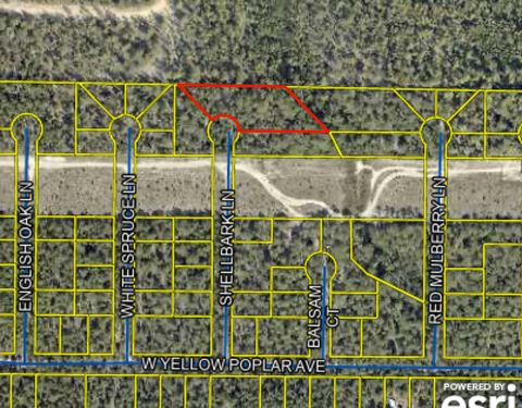 Photo of 1 ACRE Shellbark Lane, DeFuniak Springs, FL 32433 (MLS # 984153)