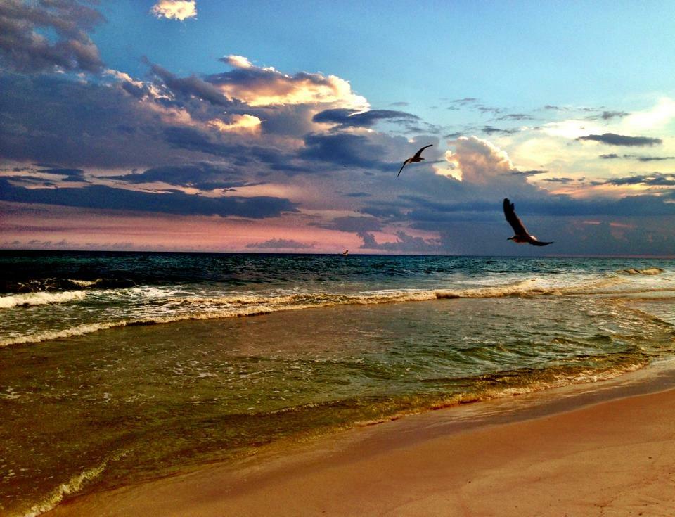 PARADISE RETREAT - Residential