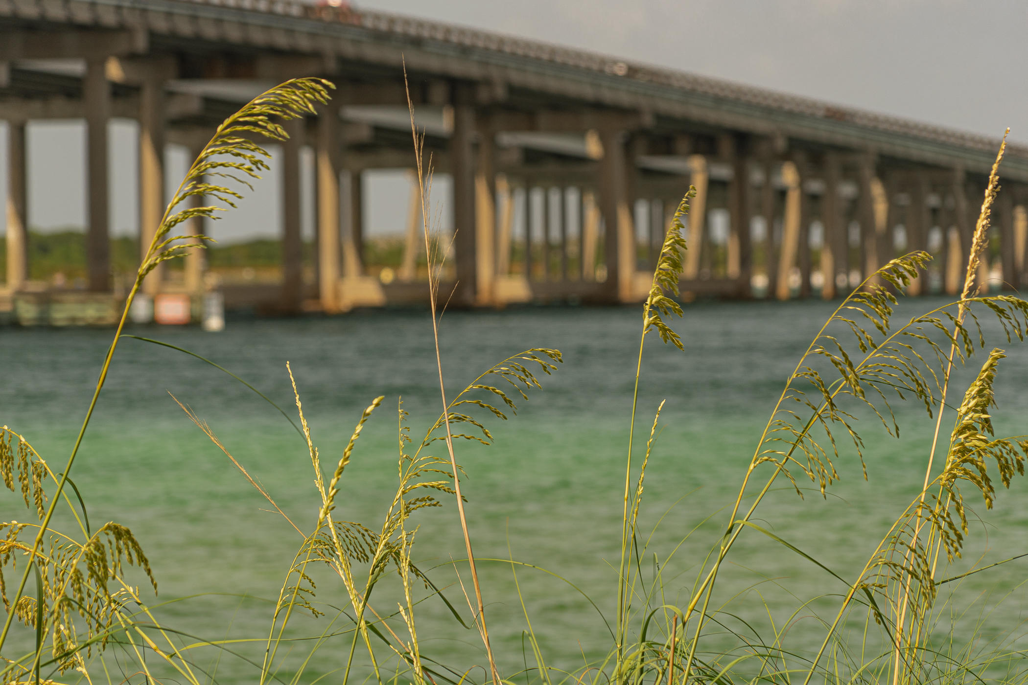 SIDES MORENO POINT WEST - Residential