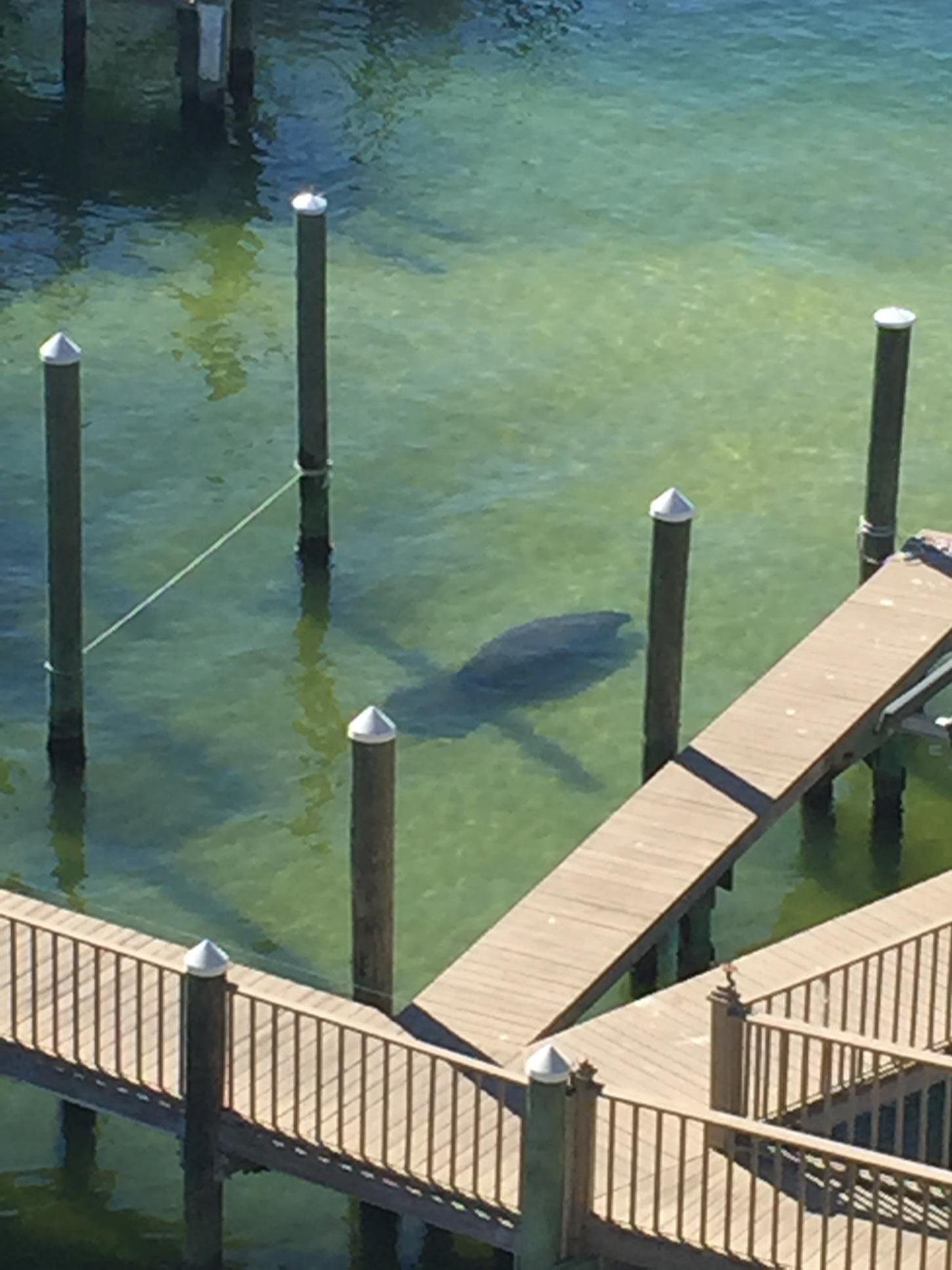 SIDES MORENO POINT WEST - Residential