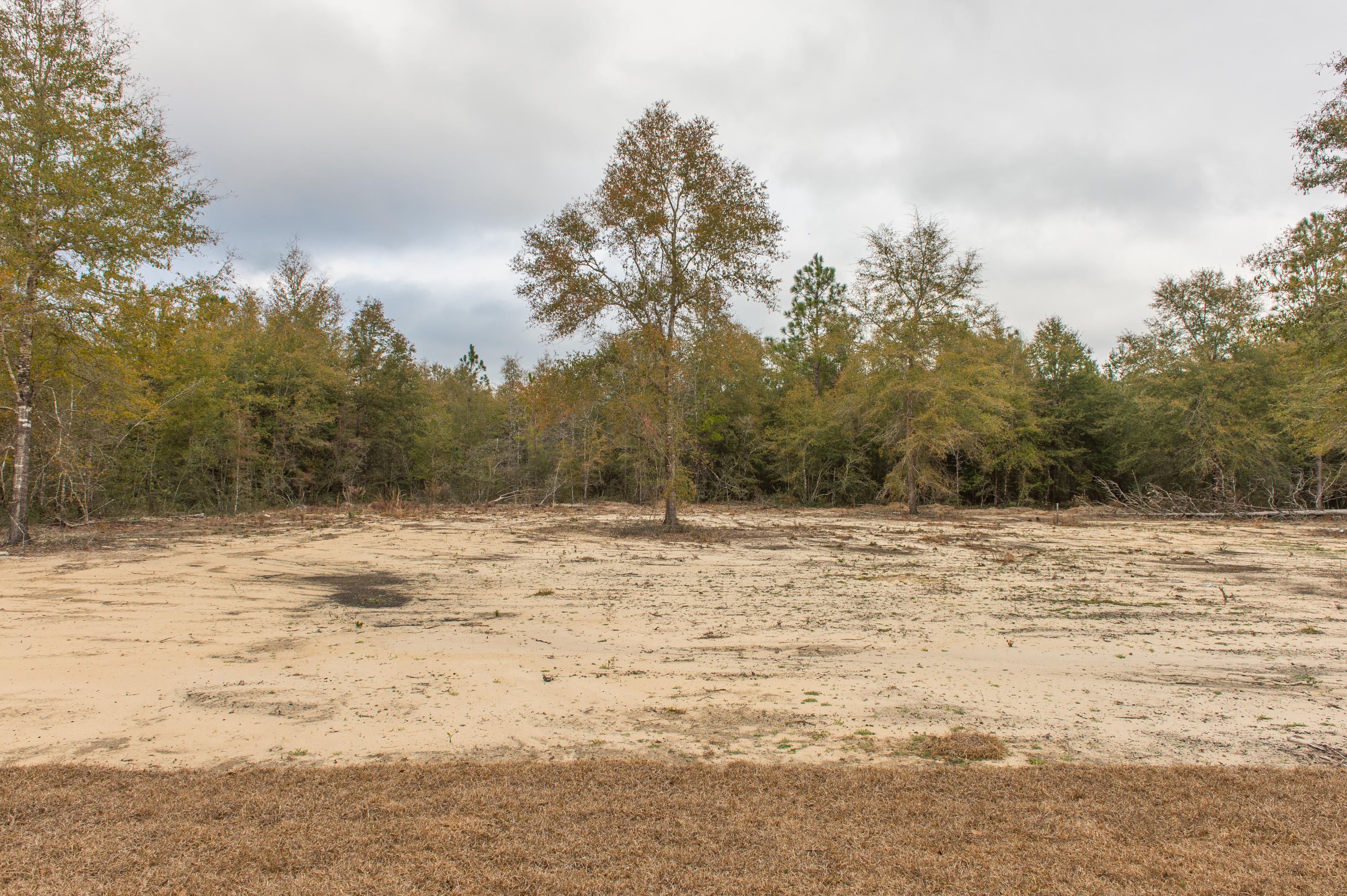 BRIDLE WOOD EST PH I - Residential