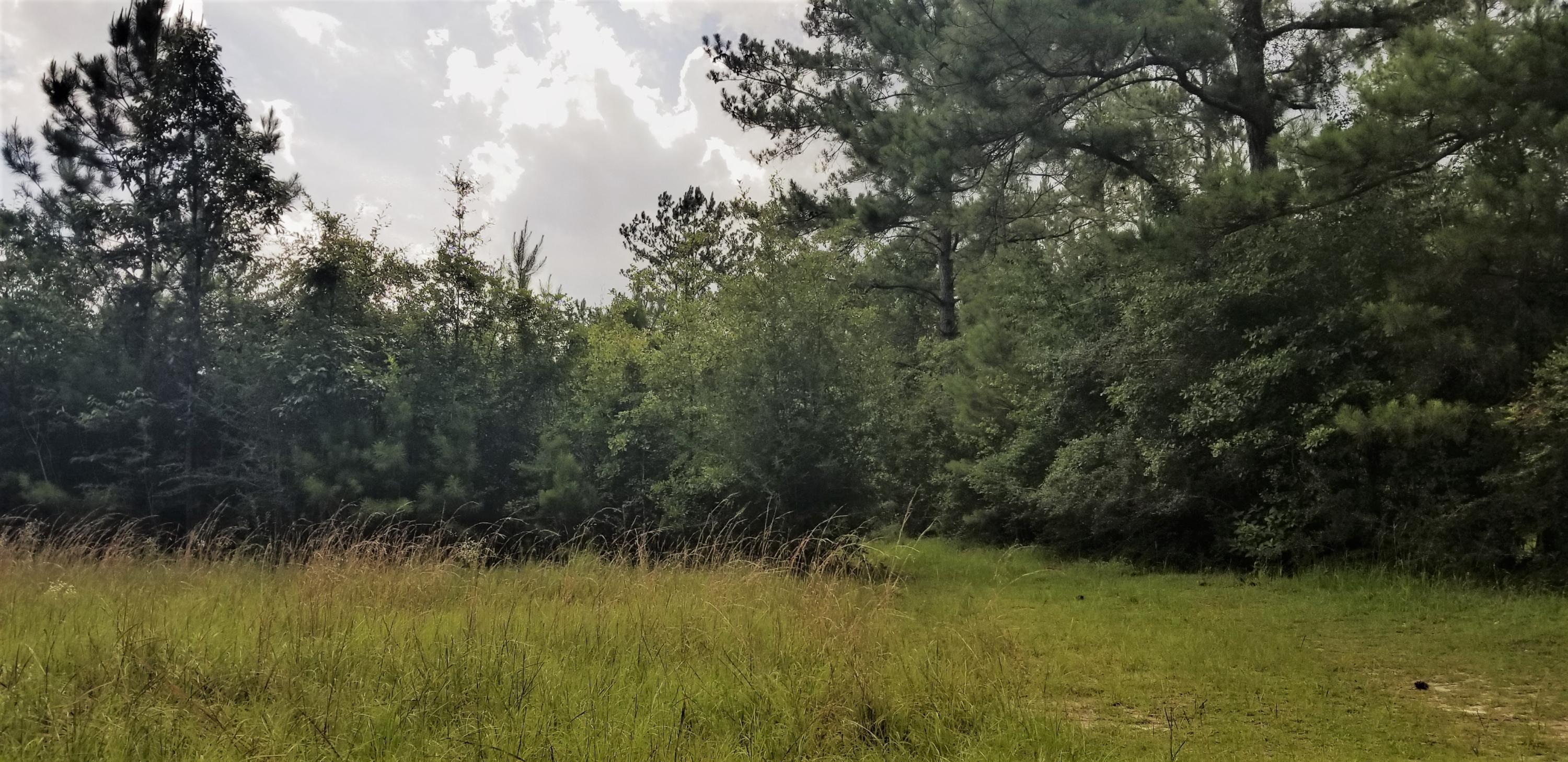 METES & BOUNDS - Farm