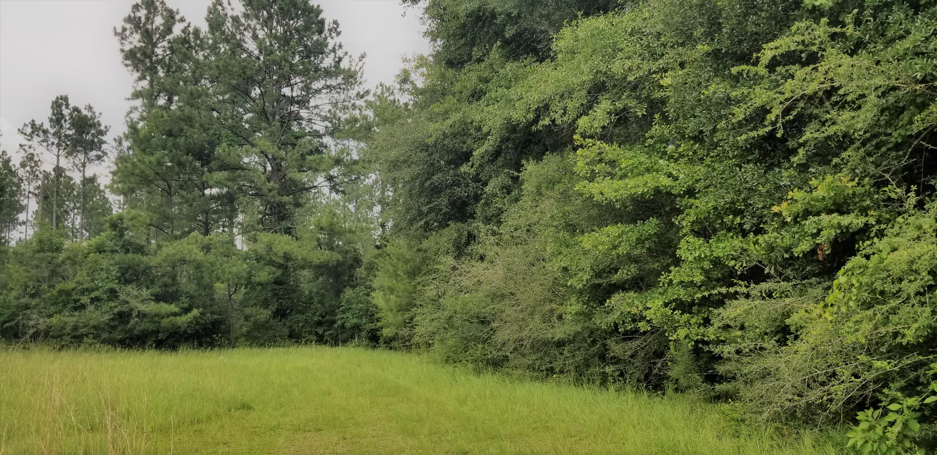 METES & BOUNDS - Farm