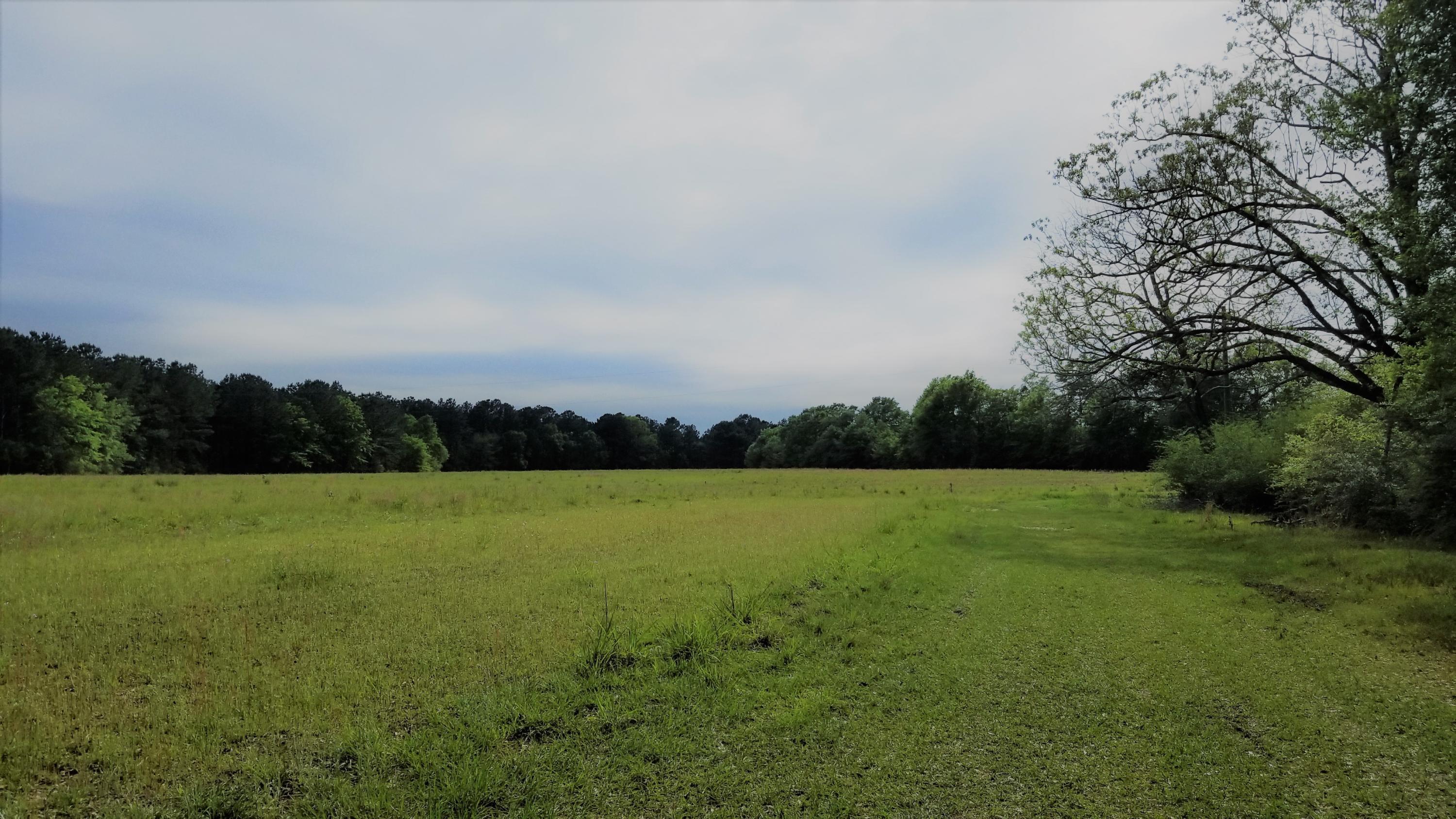 METES & BOUNDS - Farm