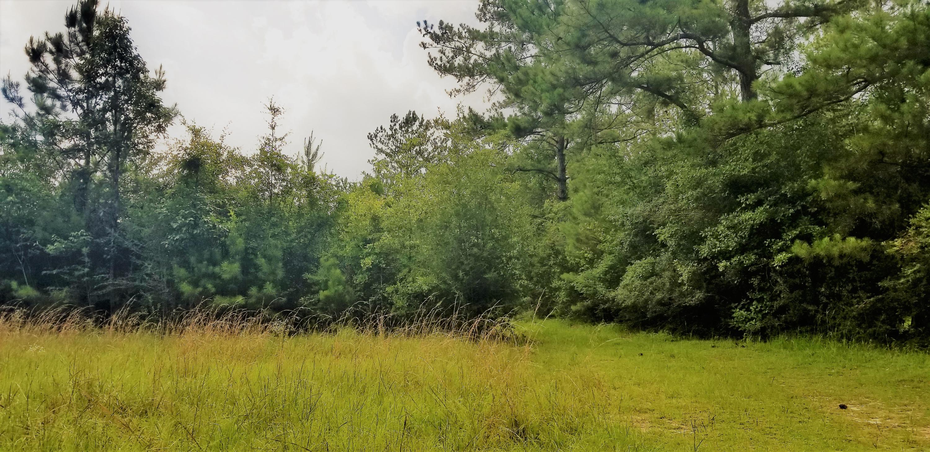 METES & BOUNDS - Farm