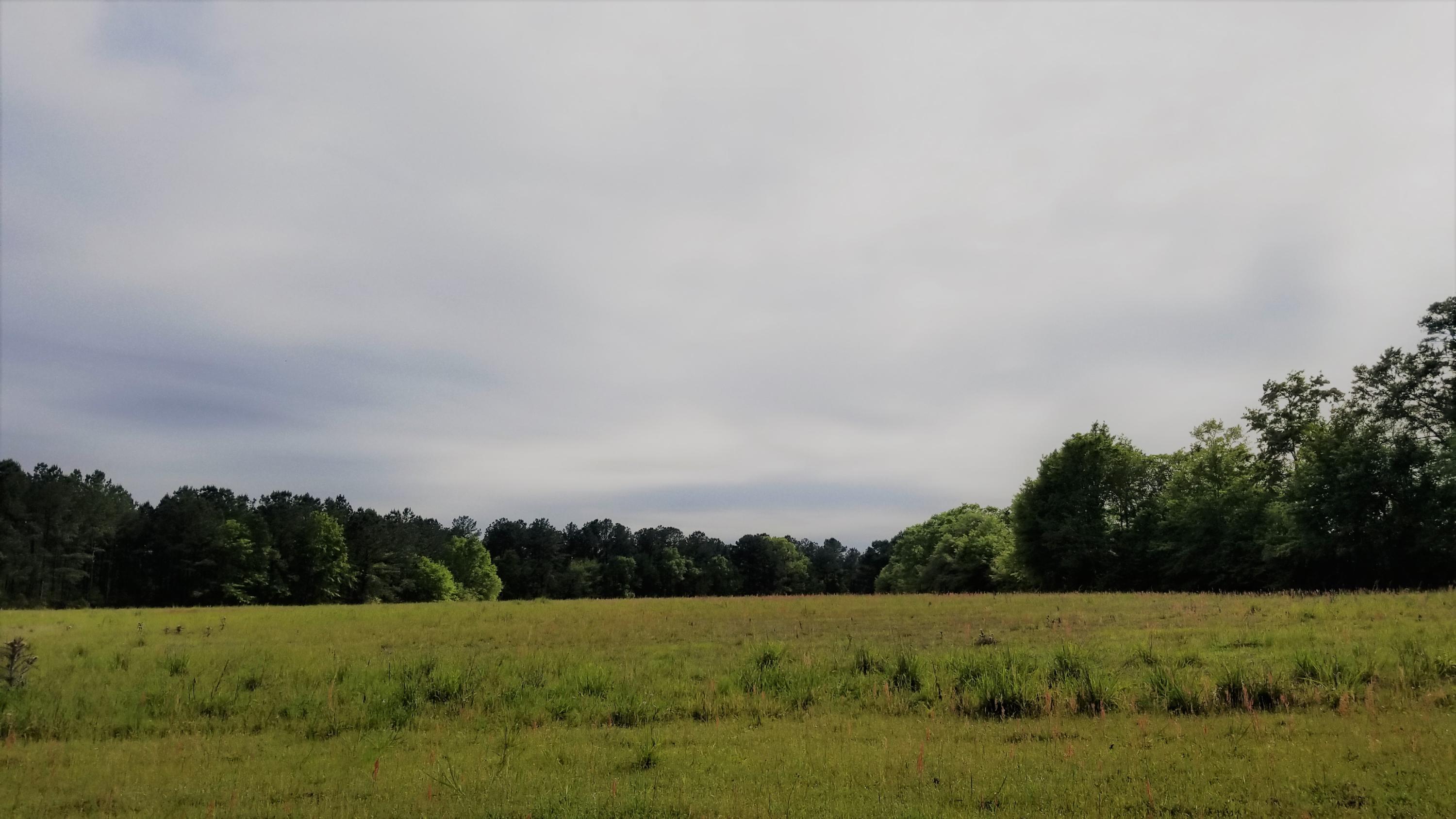 METES & BOUNDS - Farm