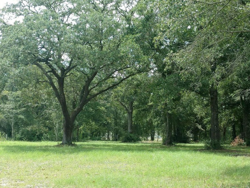 COMMERCIAL HWY 331 FRONTAGE ADJOING THE PUBLIX SHOPPING CENTER! This 2.98 Acre site adjoins the northernmost Outparcel (Waffle House) of The Shoppes of Freeport. All Outparcels of Publix Shopping Center are SOLD. McDonald's, Dairy Queen & Ace Hardware are neighboring sites. Unique property offering 100' of Hwy 331 South Frontage plus frontage off of Blue Ridge Parkway, which intersects with Highway 20. City water & sewer are available to site on east & west sides. Perfect for variety of commercial & retail uses. Ideal for hotel site, fast food, office complex, retail center & more! City of Freeport is needing the commercial businesses to provide services to its growing community. Consider this site for your new venture in Walton County - just minutes to the World's Most Beautiful Beaches!